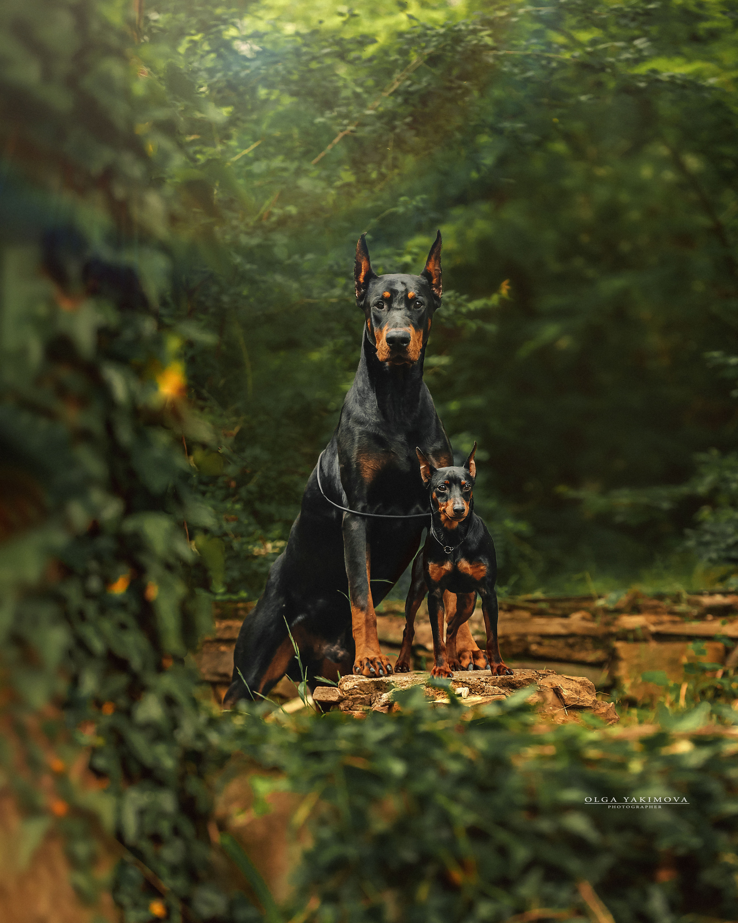 Экстерьер. Фотограф