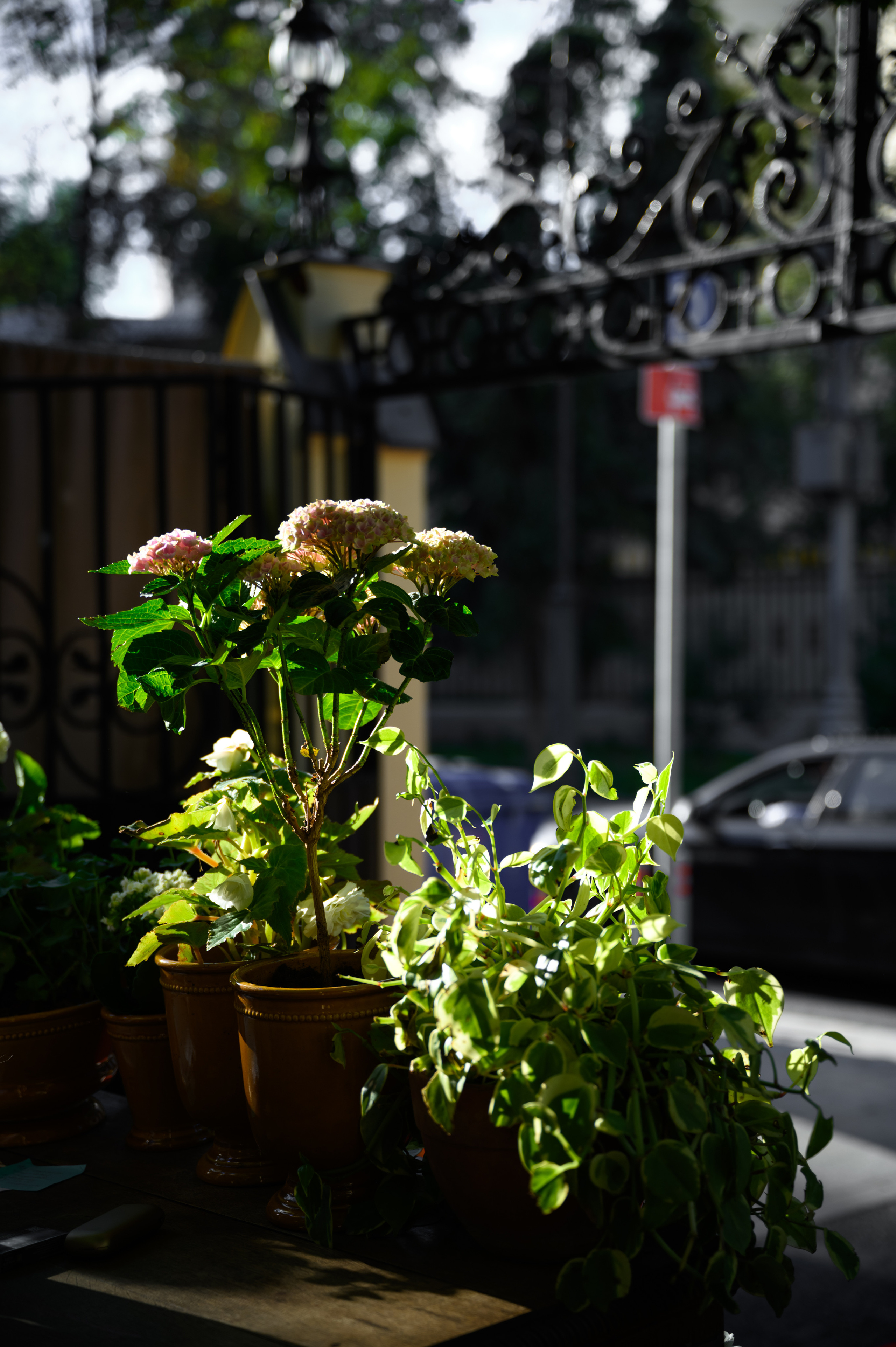 Butler. Свадебный фотограф в Москве Артём Кившарь