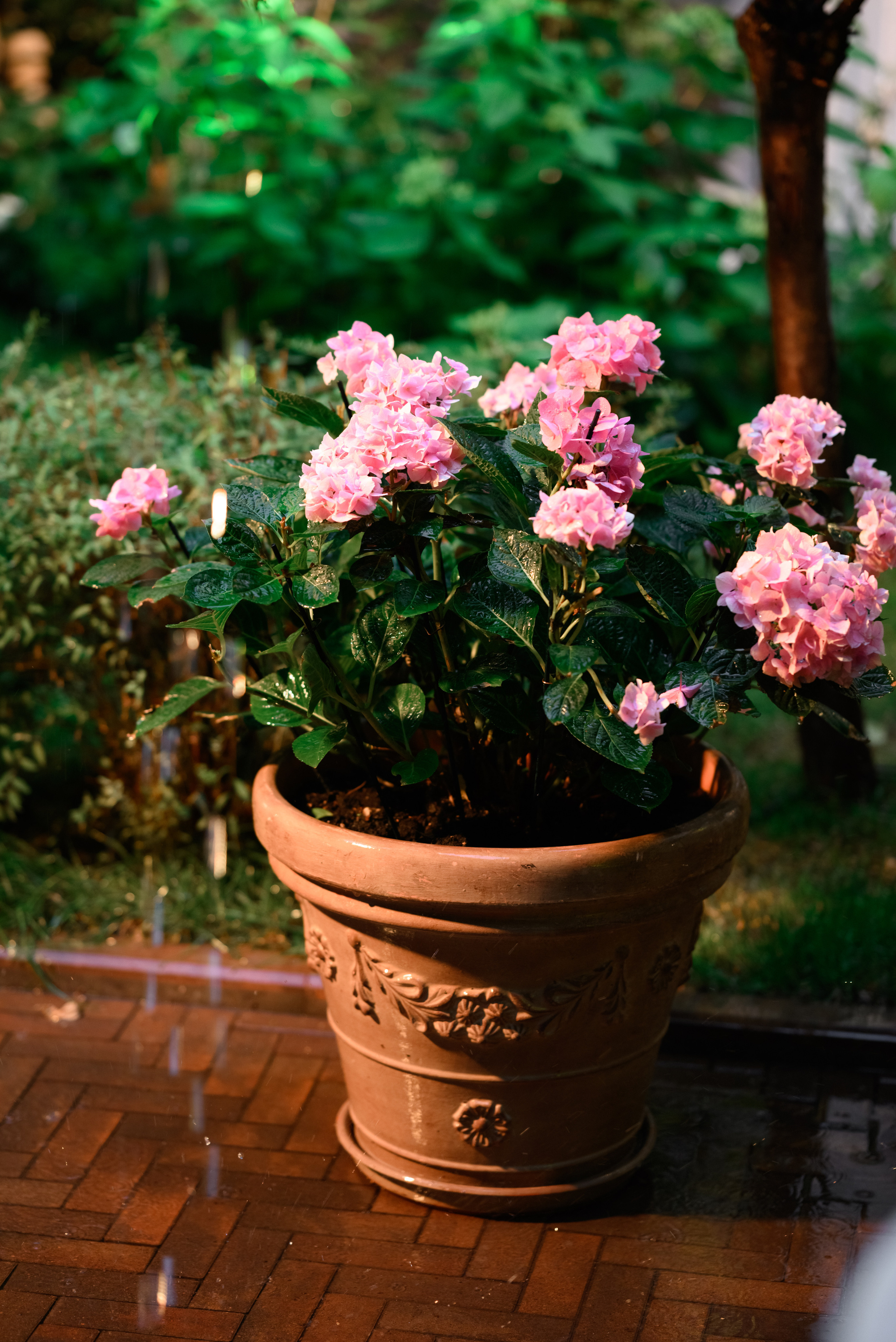 Butler. Свадебный фотограф в Москве Артём Кившарь