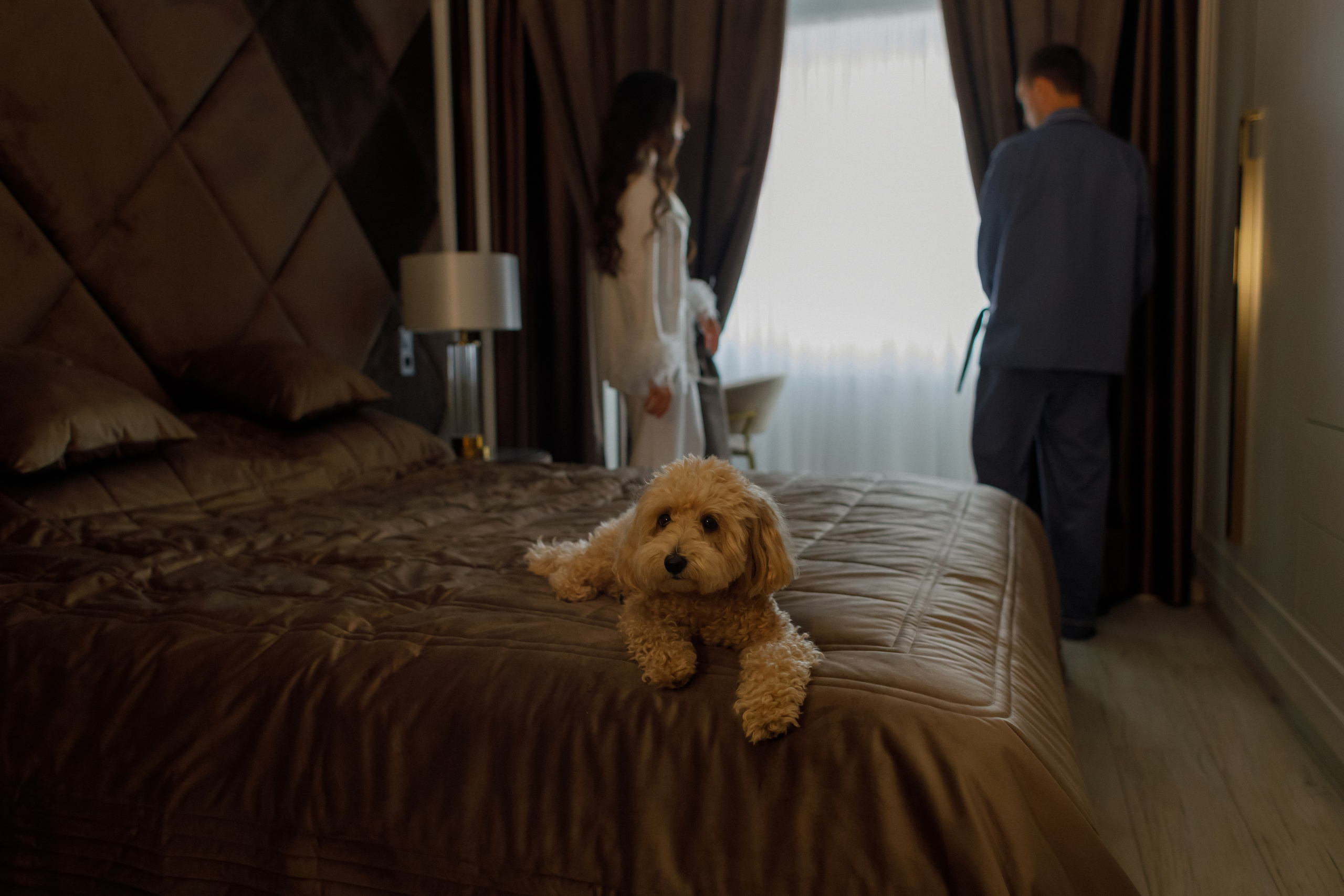 Дима и Кристина. Свадебный и семейный фотограф в Ростове-на-Дону Анастасия Арестова