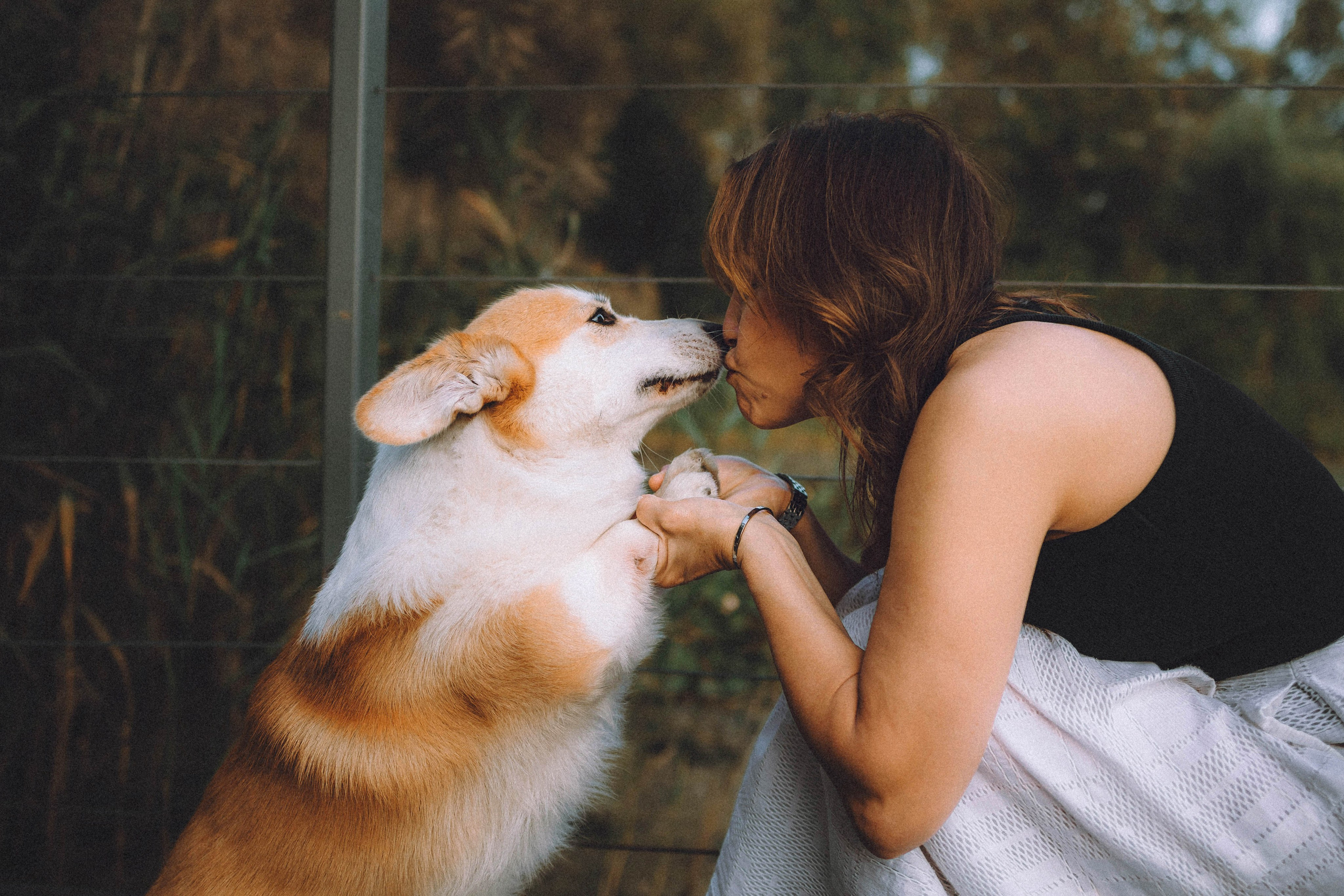 Арчи и его семья