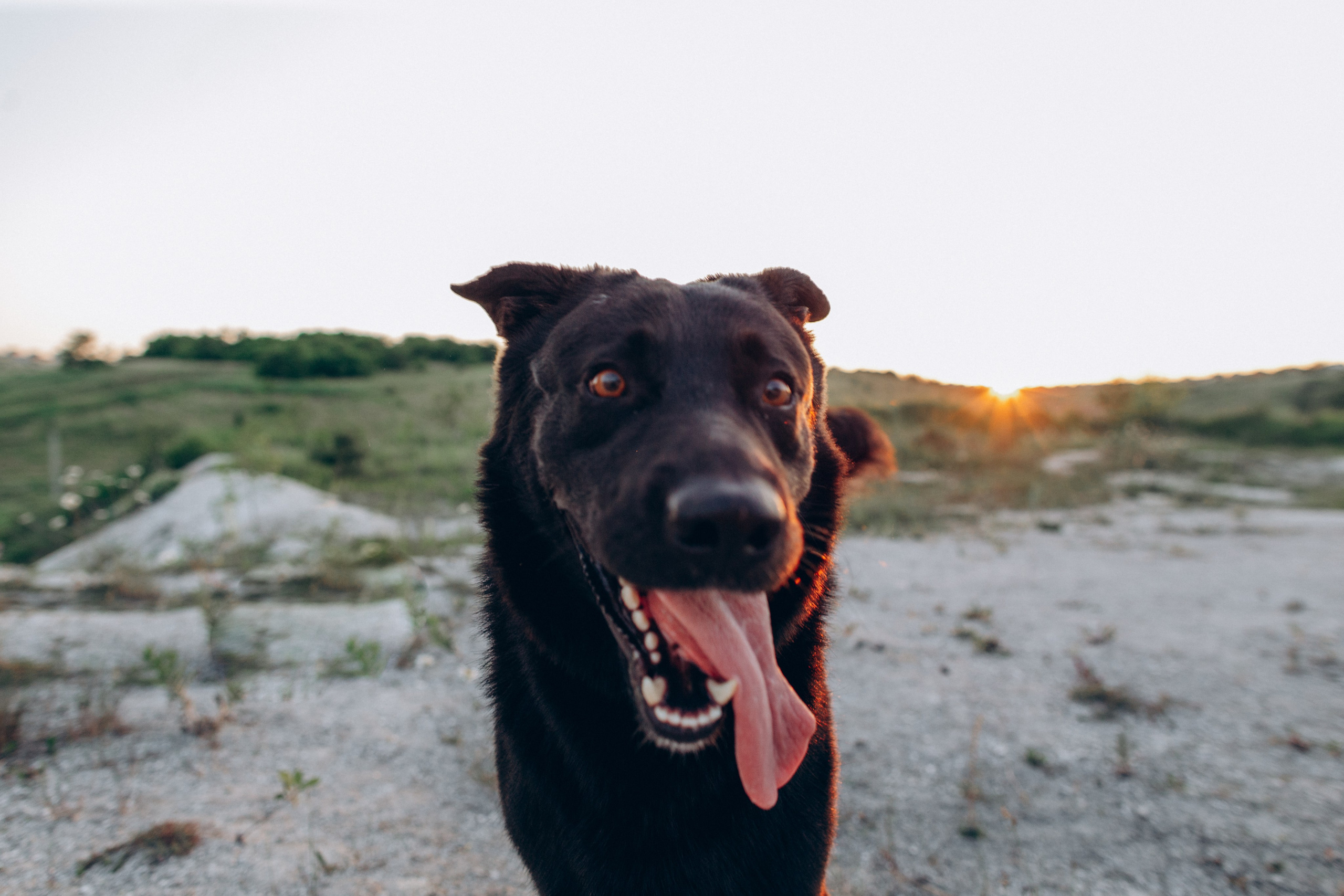 Паймон. Семейный фотограф в Белгороде