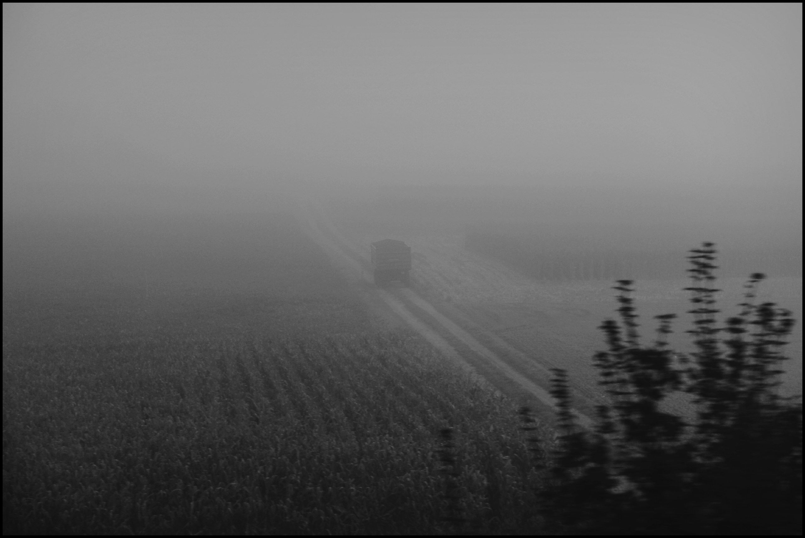 Работы. Свадебный фотограф в Москве Сафонова Анна