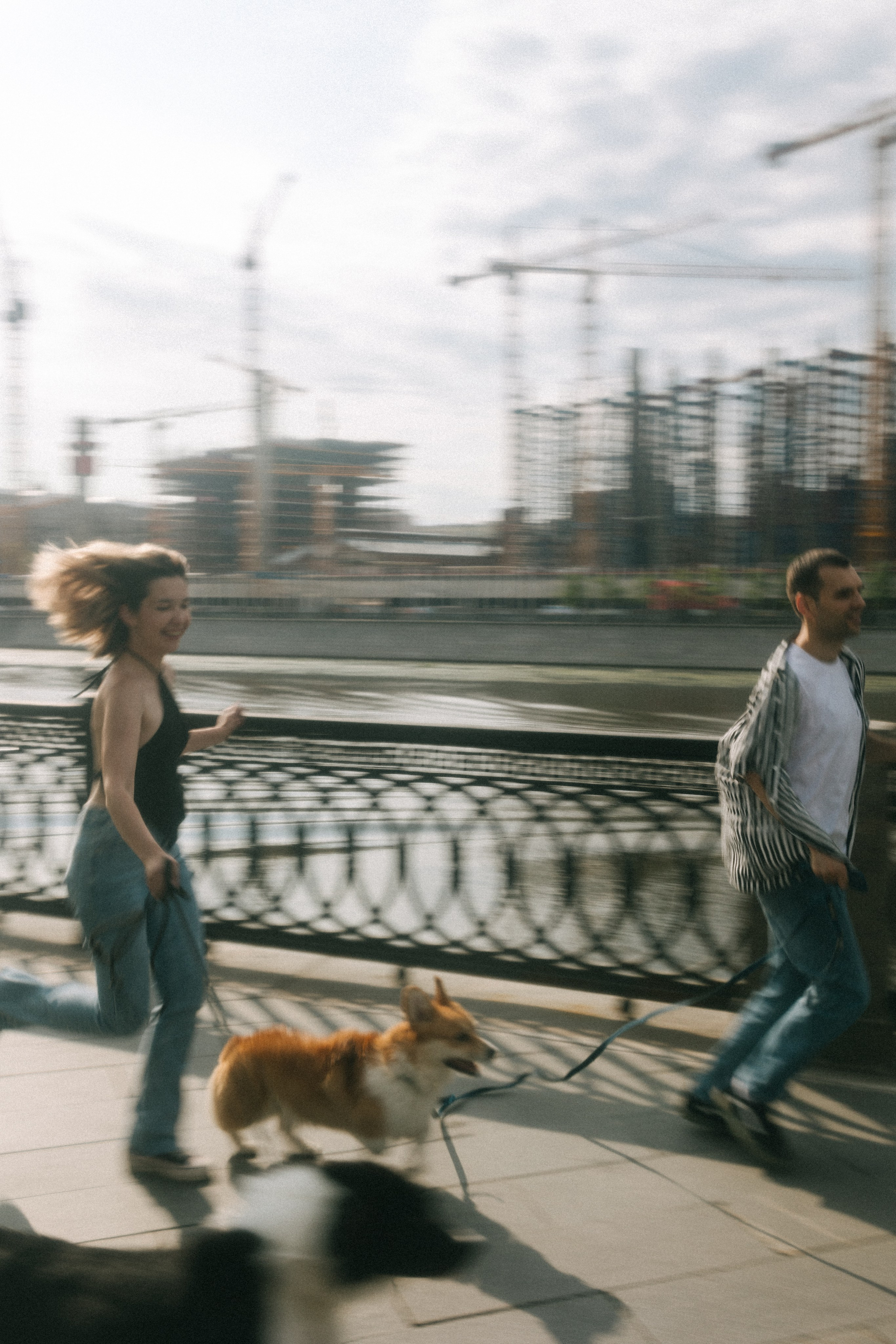 Брюс, Вейв и их ро. Фотораф — анималист Мария Шистка