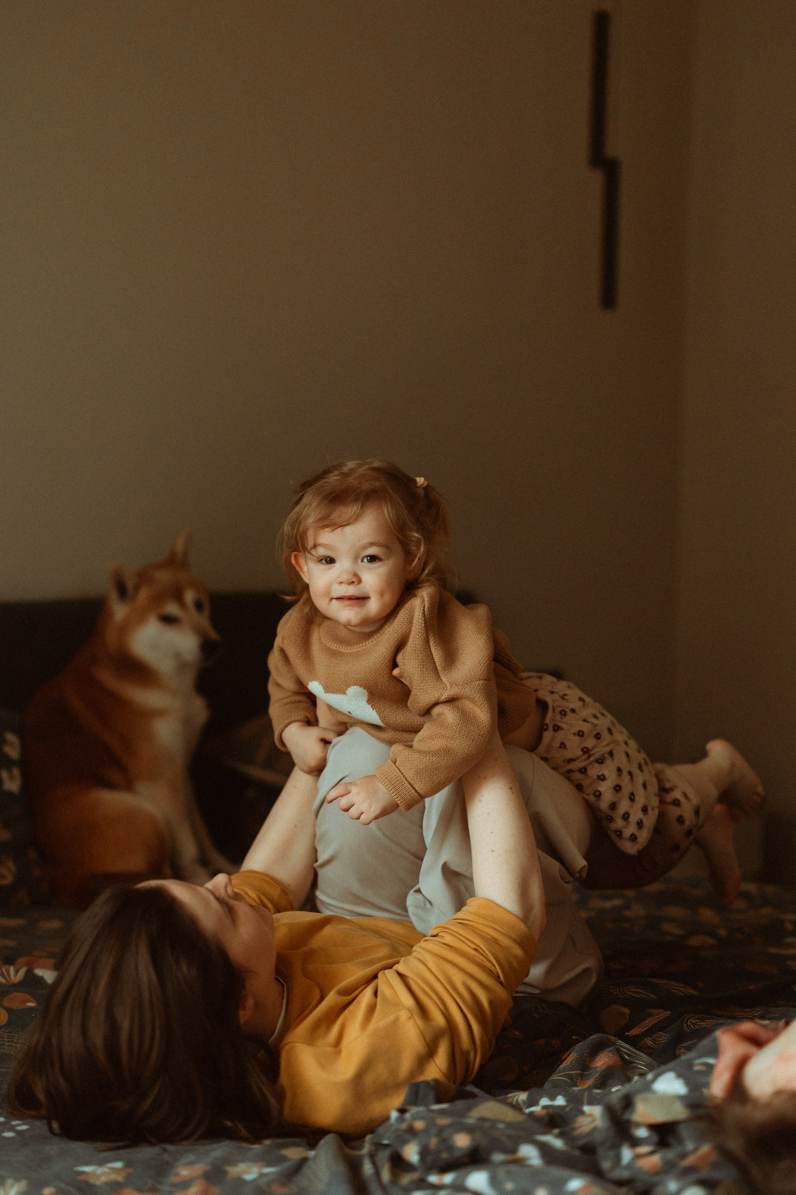 Новогодний переполох. Евгения Пелипас