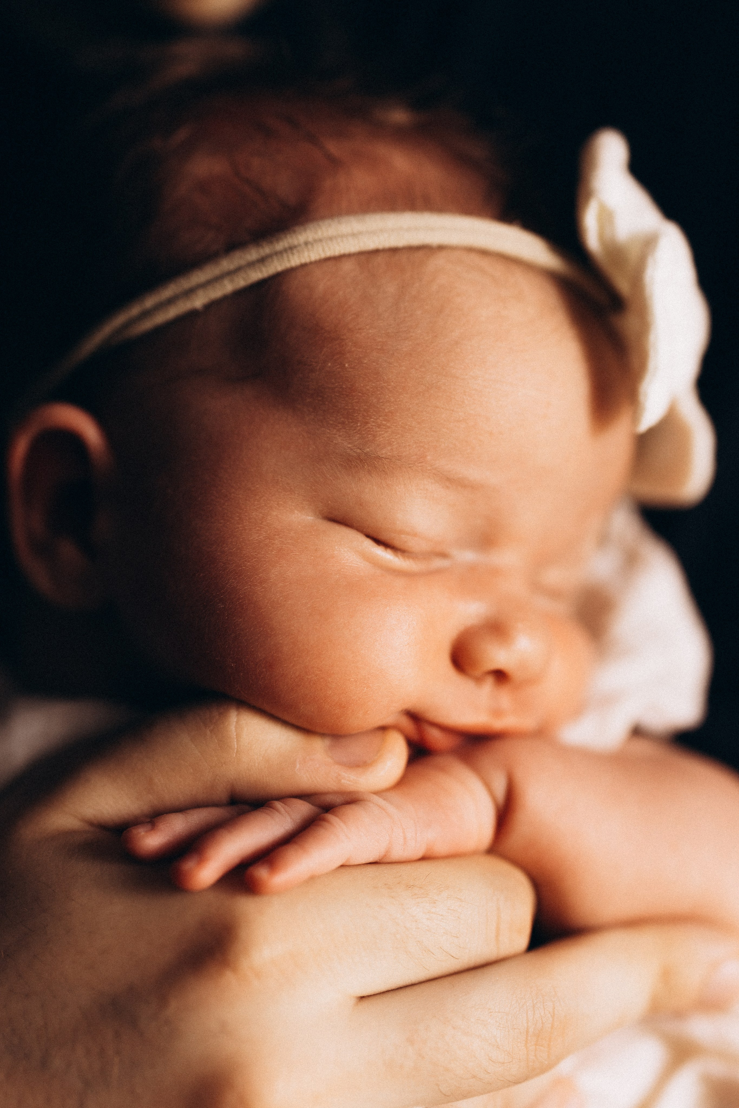 Василиса. Евгения Пелипас