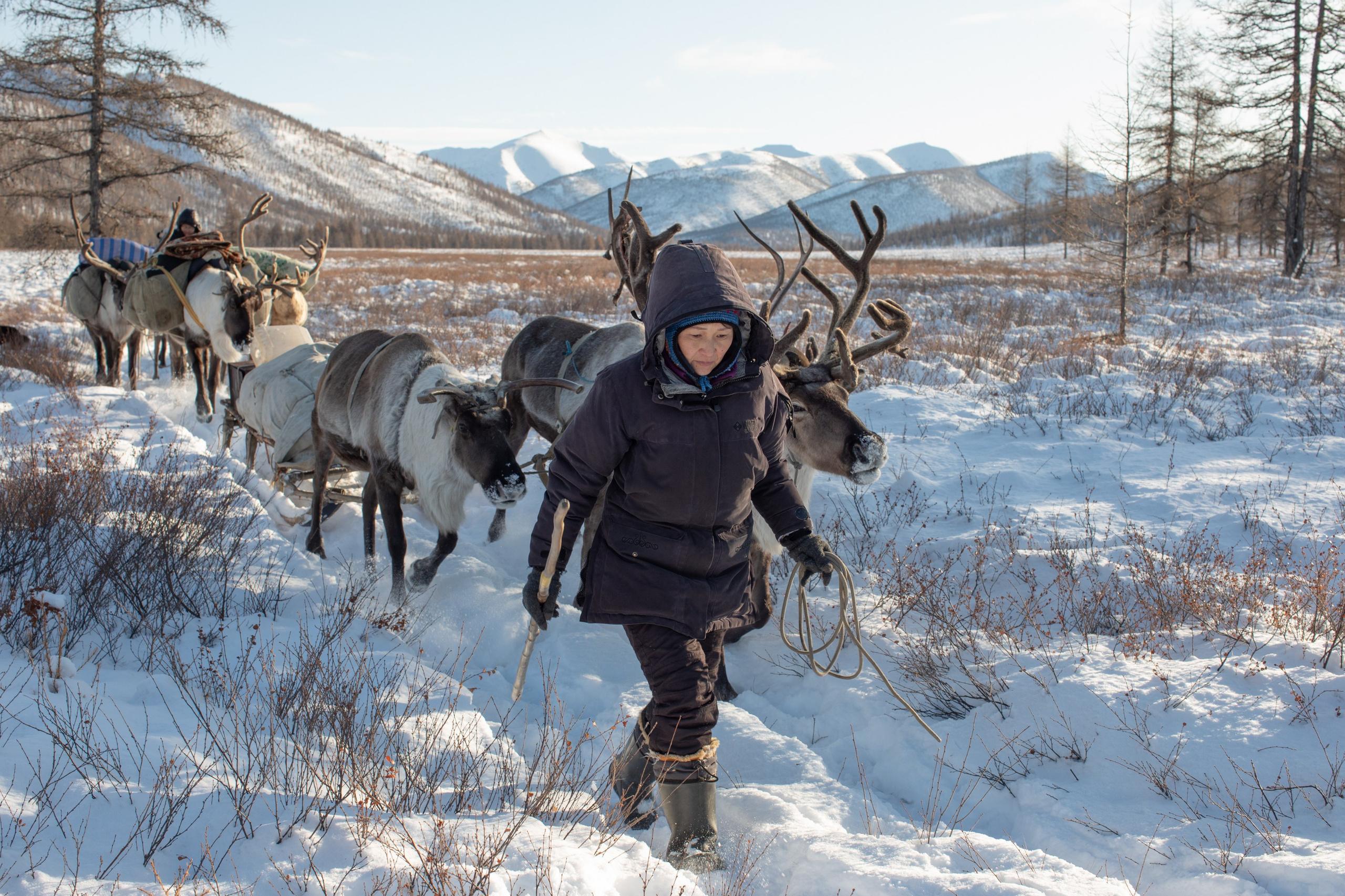 Не забудь накормить озеро. Natalya Madilyan