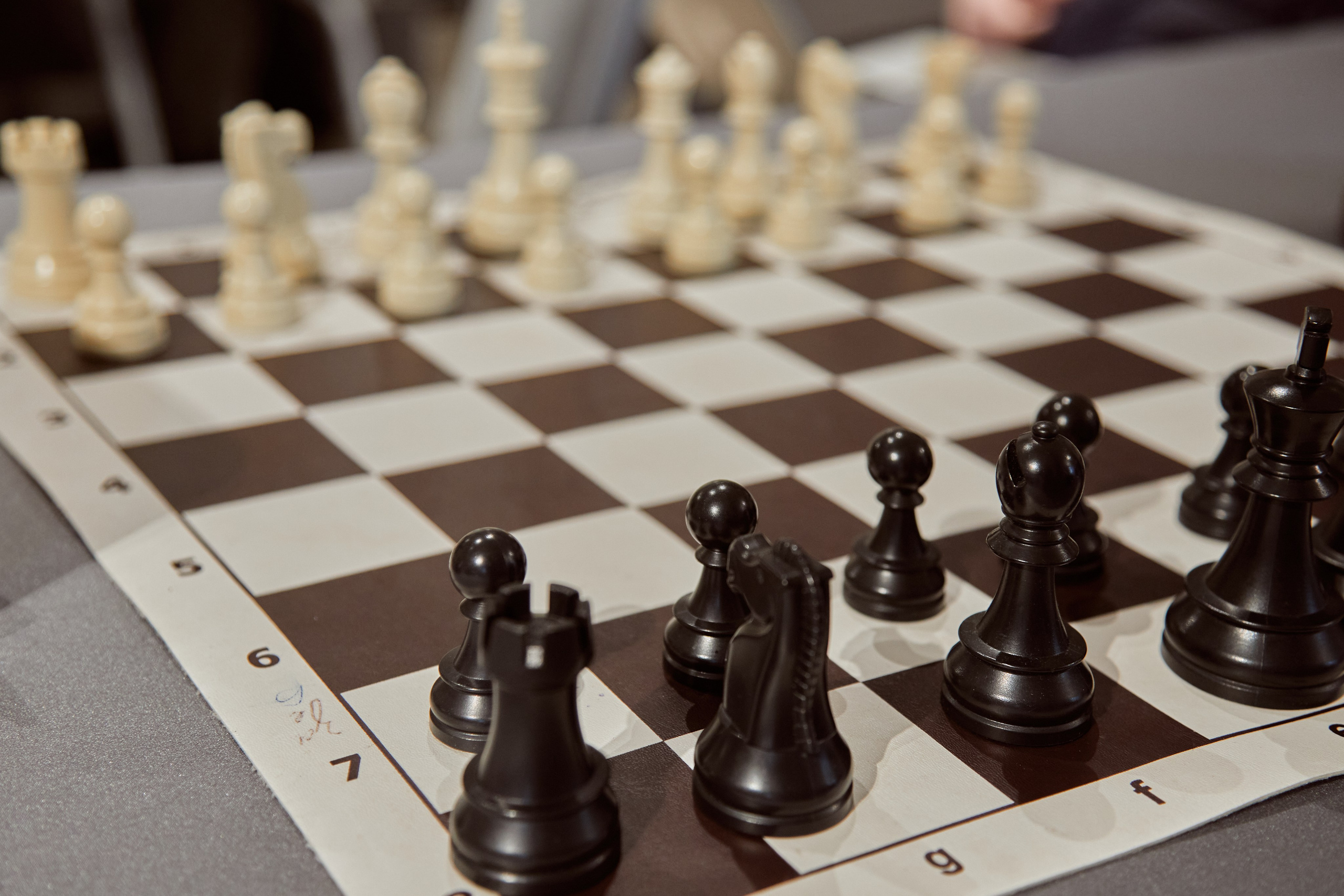 Chess tournament. Фотограф Махлаева Виктория/Санкт-Петербург