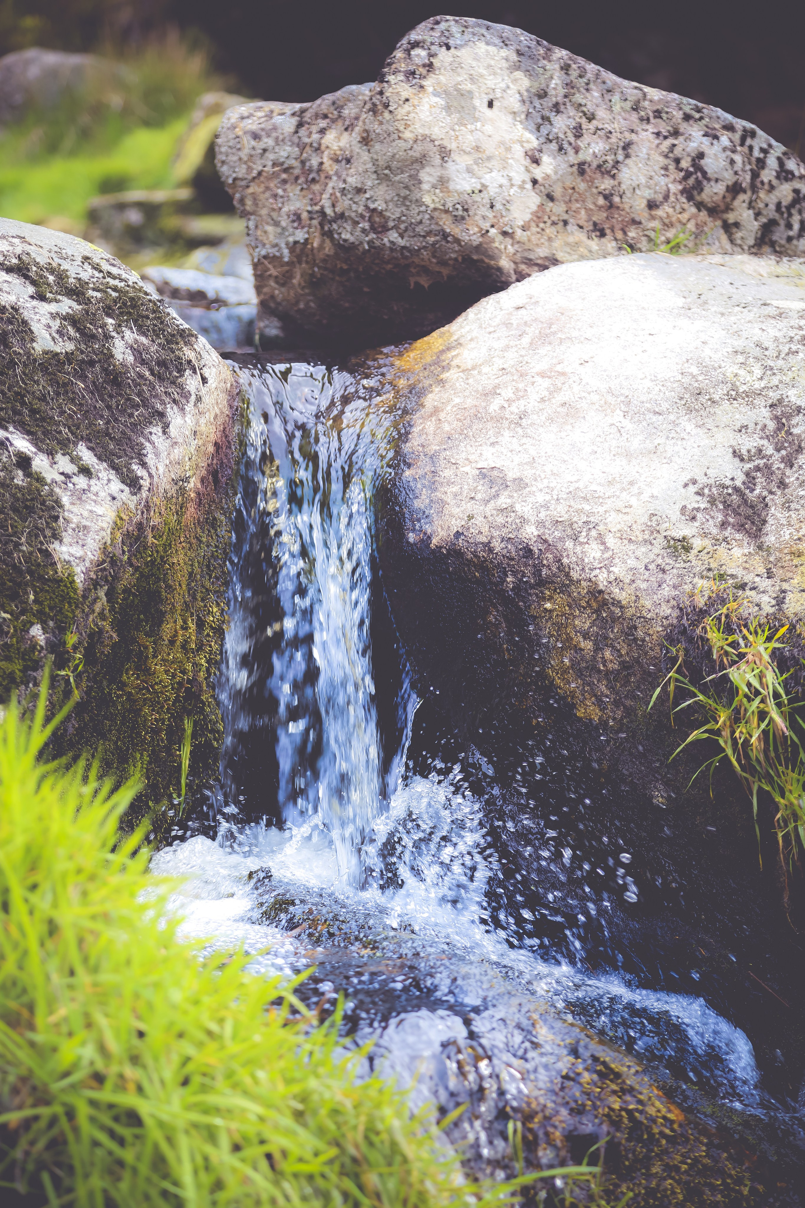 Ирландия: Горы Уиклоу. Дарья Письменюк / Darya Leitstern — фотограф, музыкант, журналист, путешественник