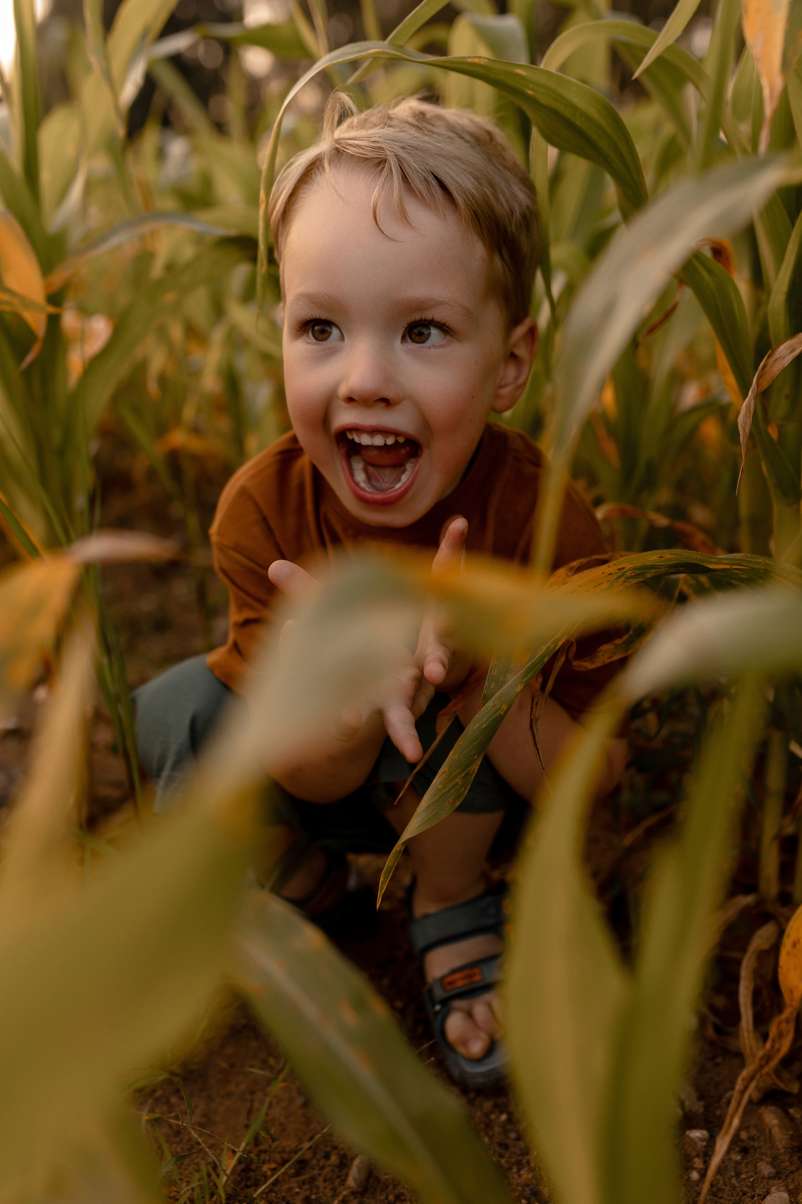 Мария, Илья, Алиса, Константин. Свадебный фотограф Елена Ловцевич