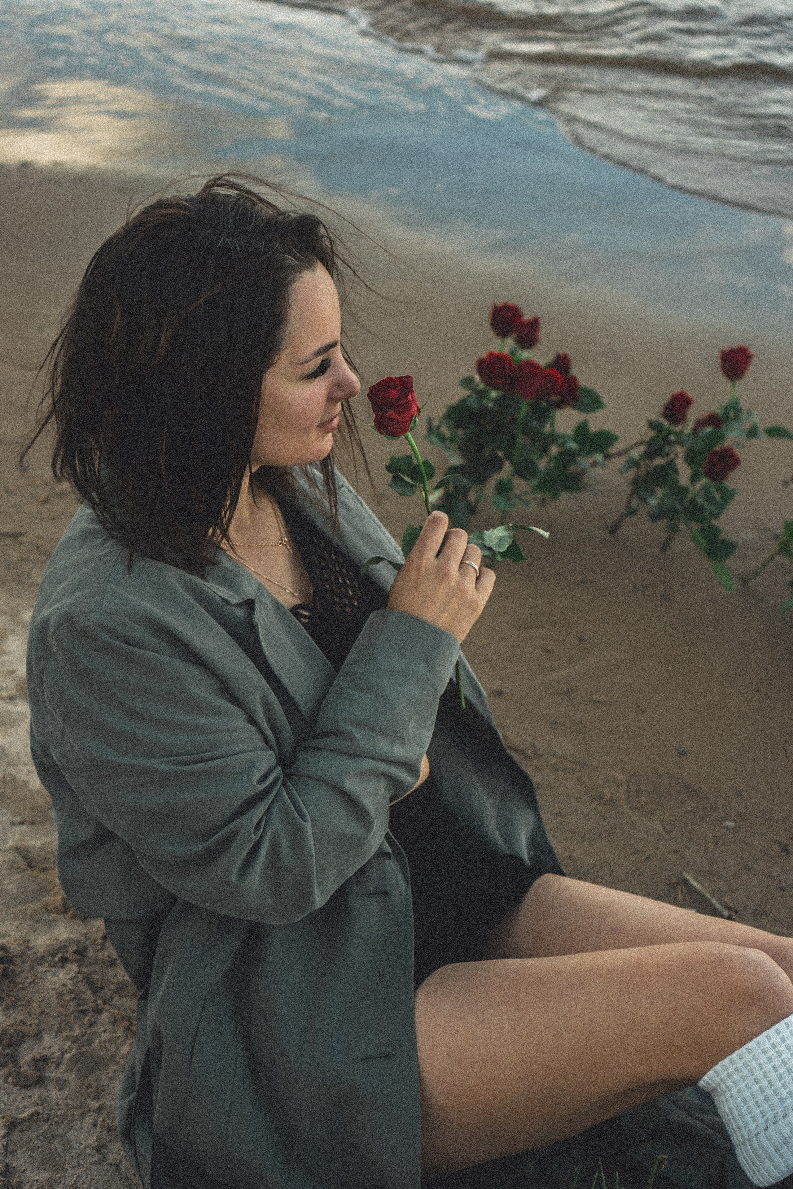 Розы. Профессиональный фотограф, Санкт-Петербург — Виктория Богомолова