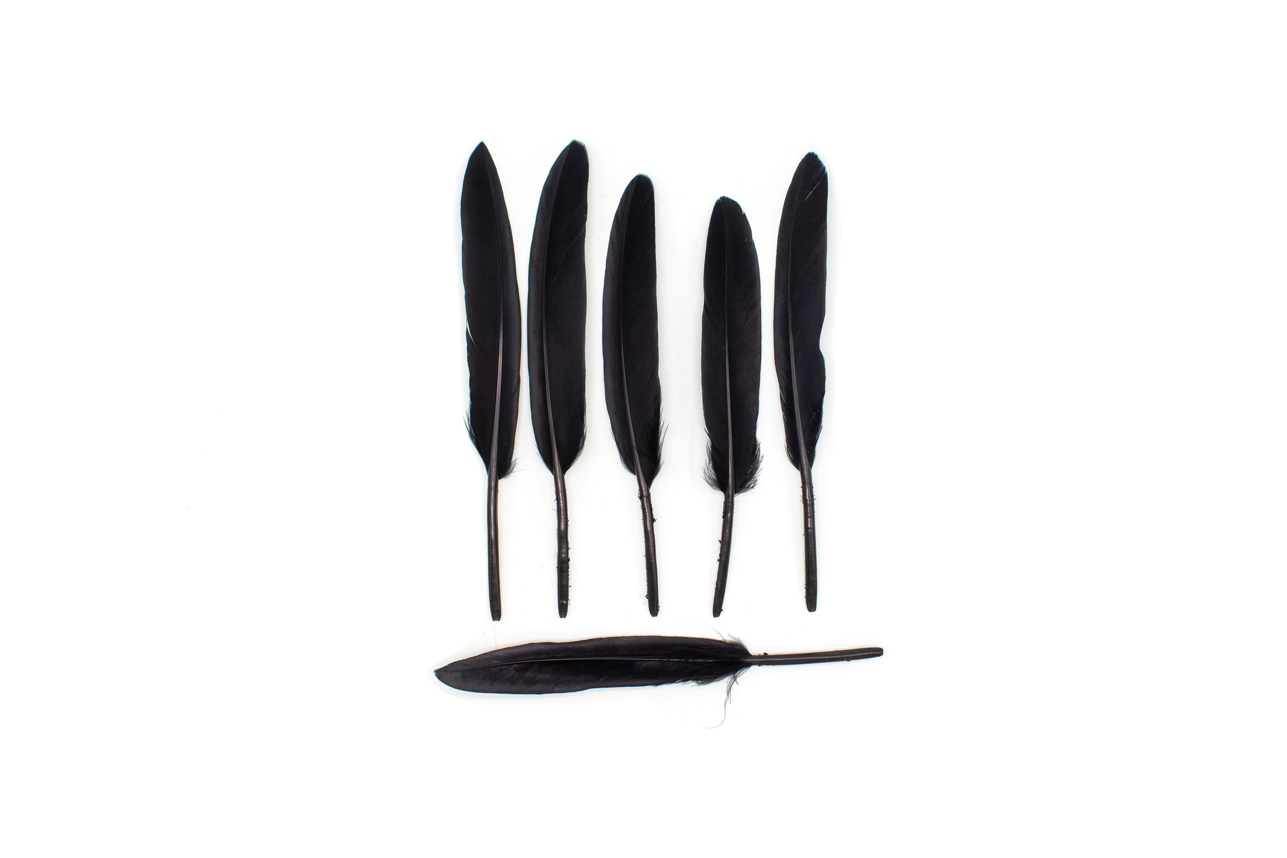 Предметная Фотография. Фотограф г. Тамбов г. Воронеж Богдан Тарасов