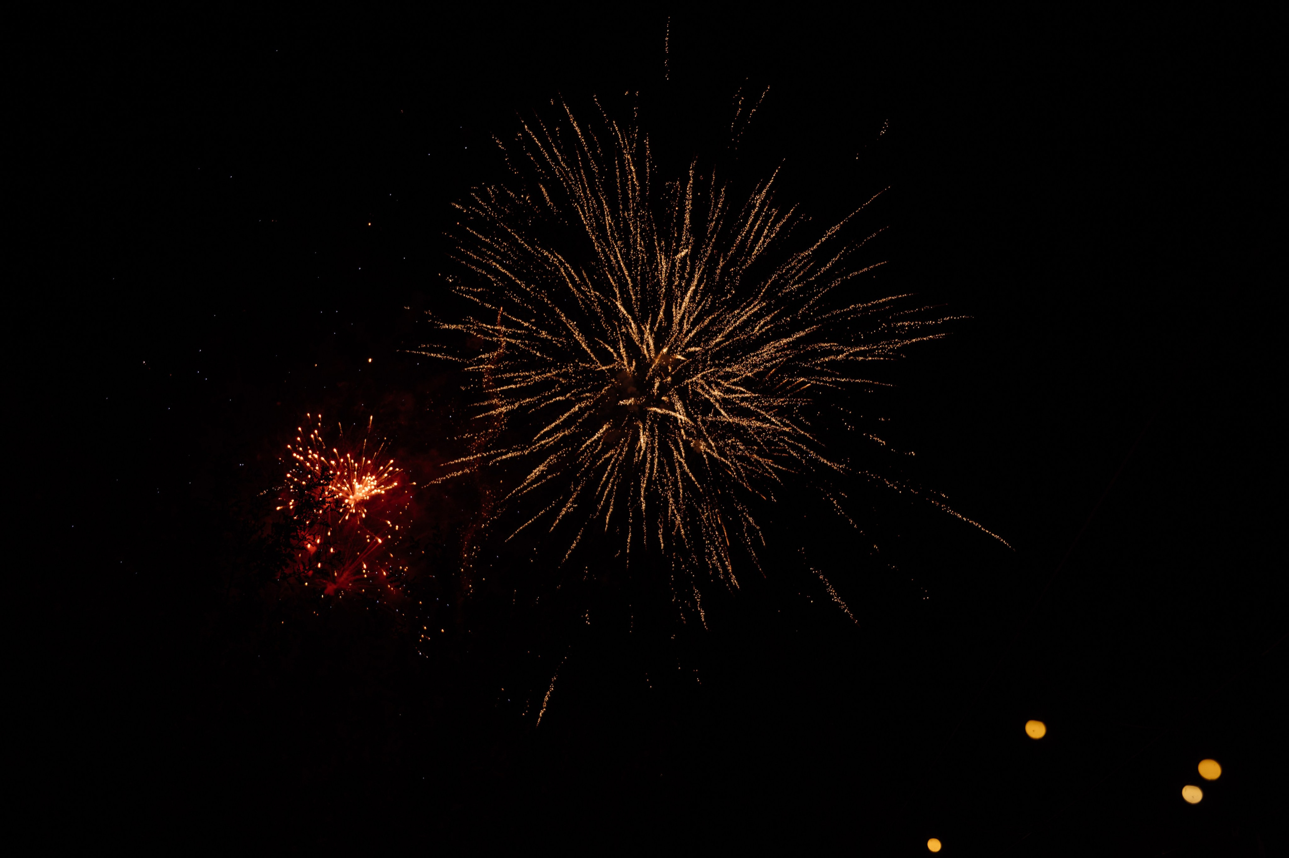 Егор и Олеся