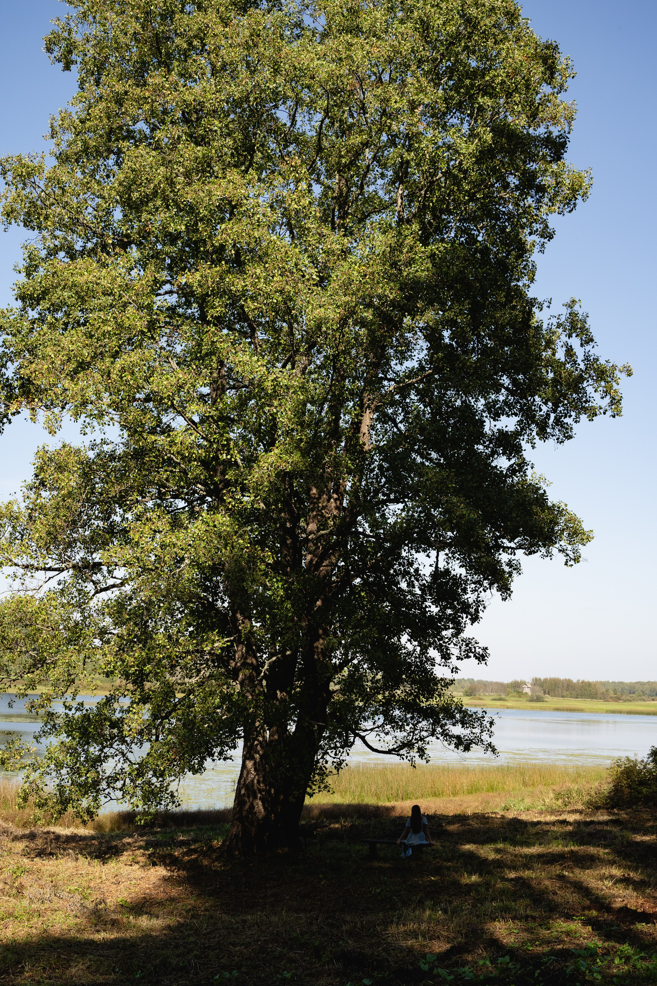 Наталья в Усадьбе Михайловское. Свадебный и семейный фотограф в Пскове и Острове Света Суворова