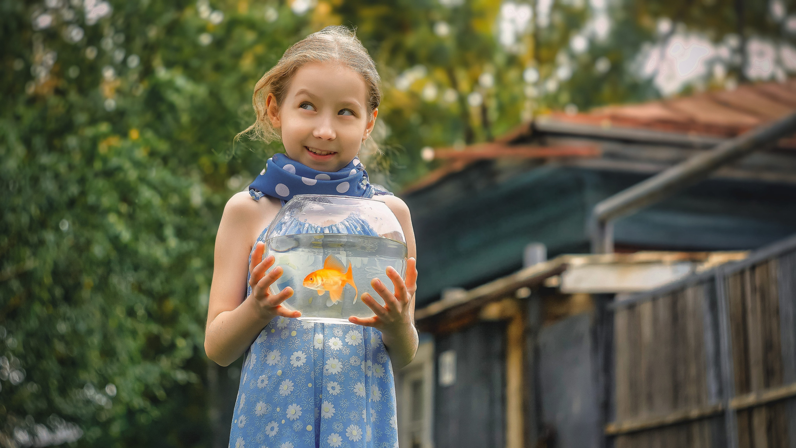 Фотолента с лучшими кадрами от фотографа Сергея Ермолаева