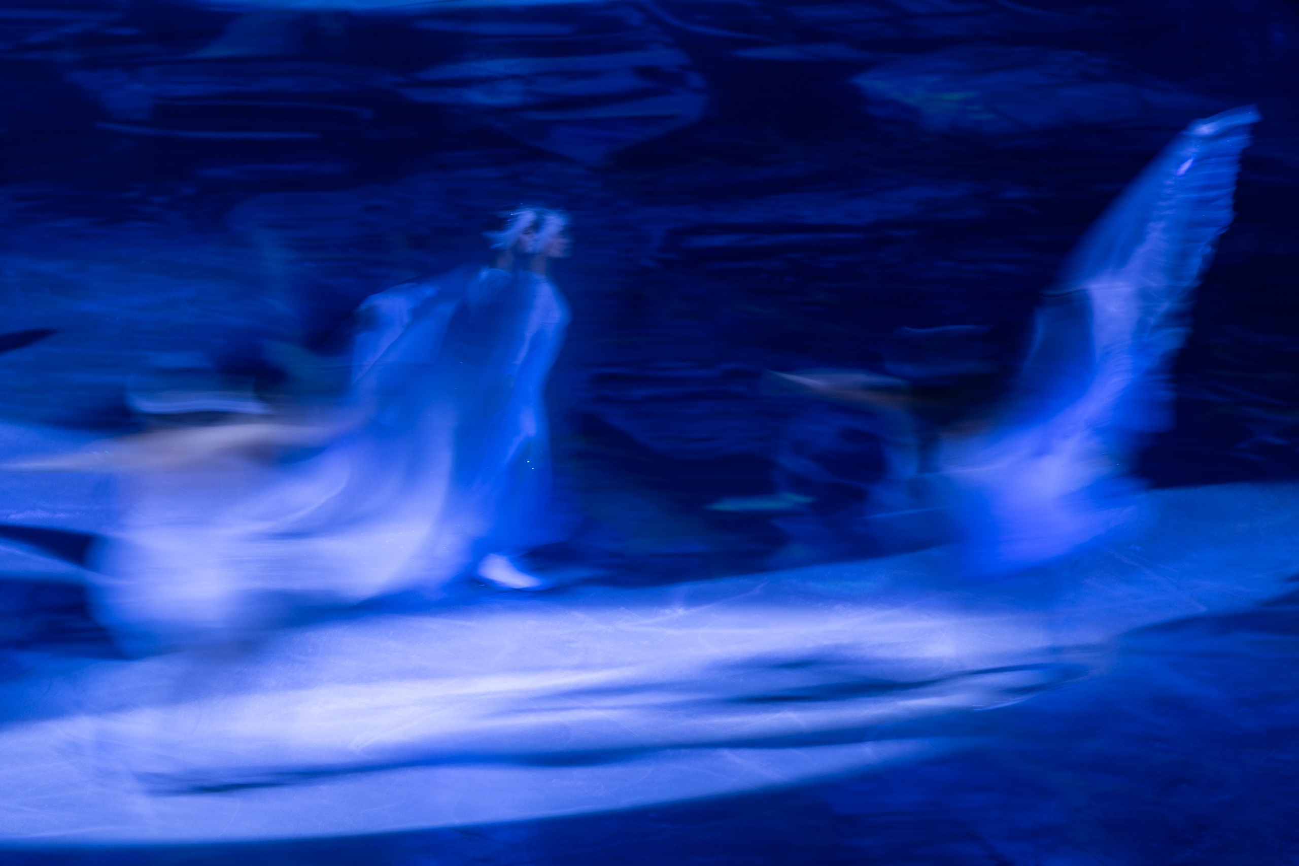 ЛЕБЕДИНОЕ ОЗЕРО