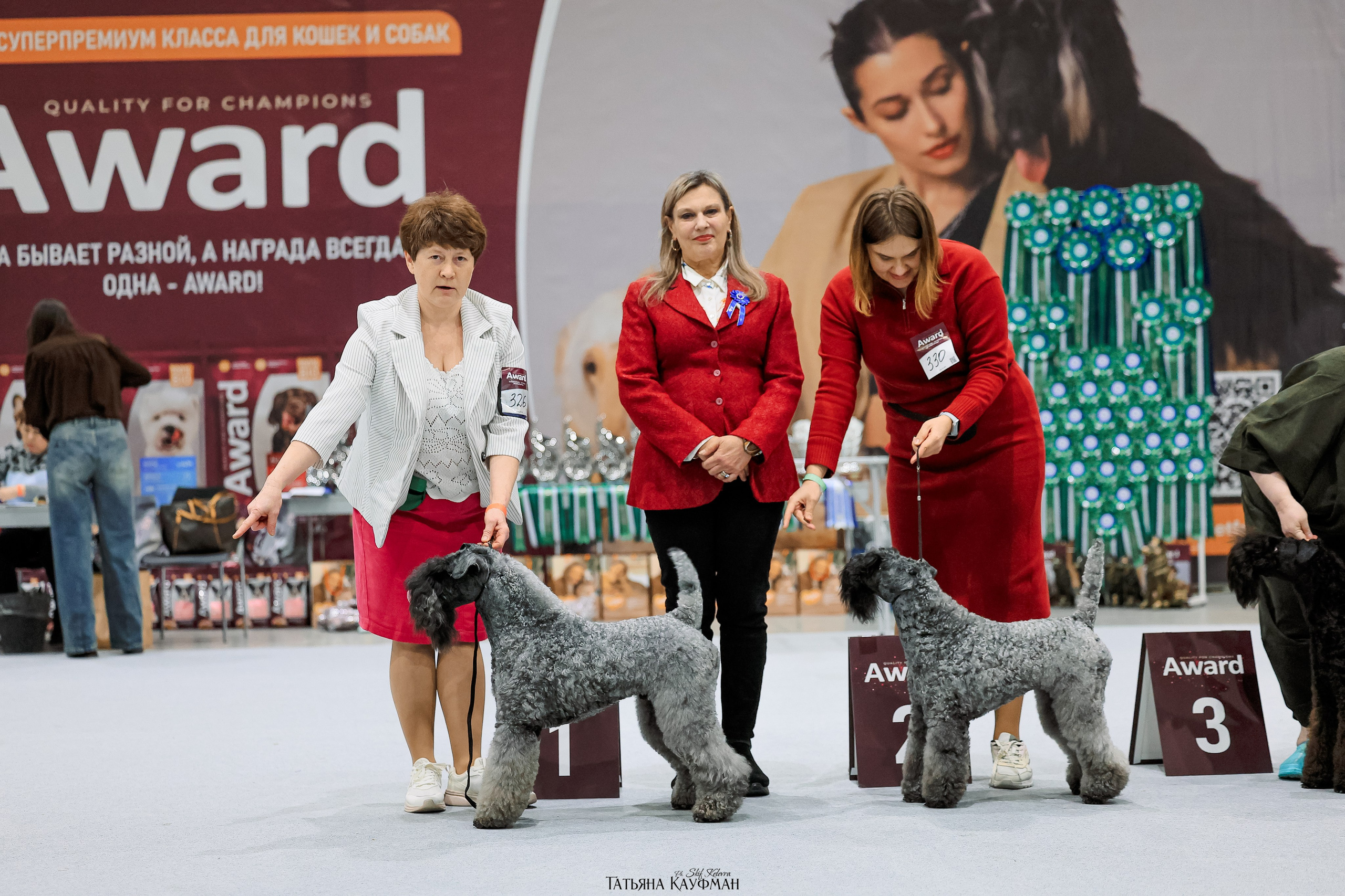 28-29.03.2026 Рейтинговая выставка в Новосибирске. Фотограф Анималист из Новосибирска Татьяна Кауфман