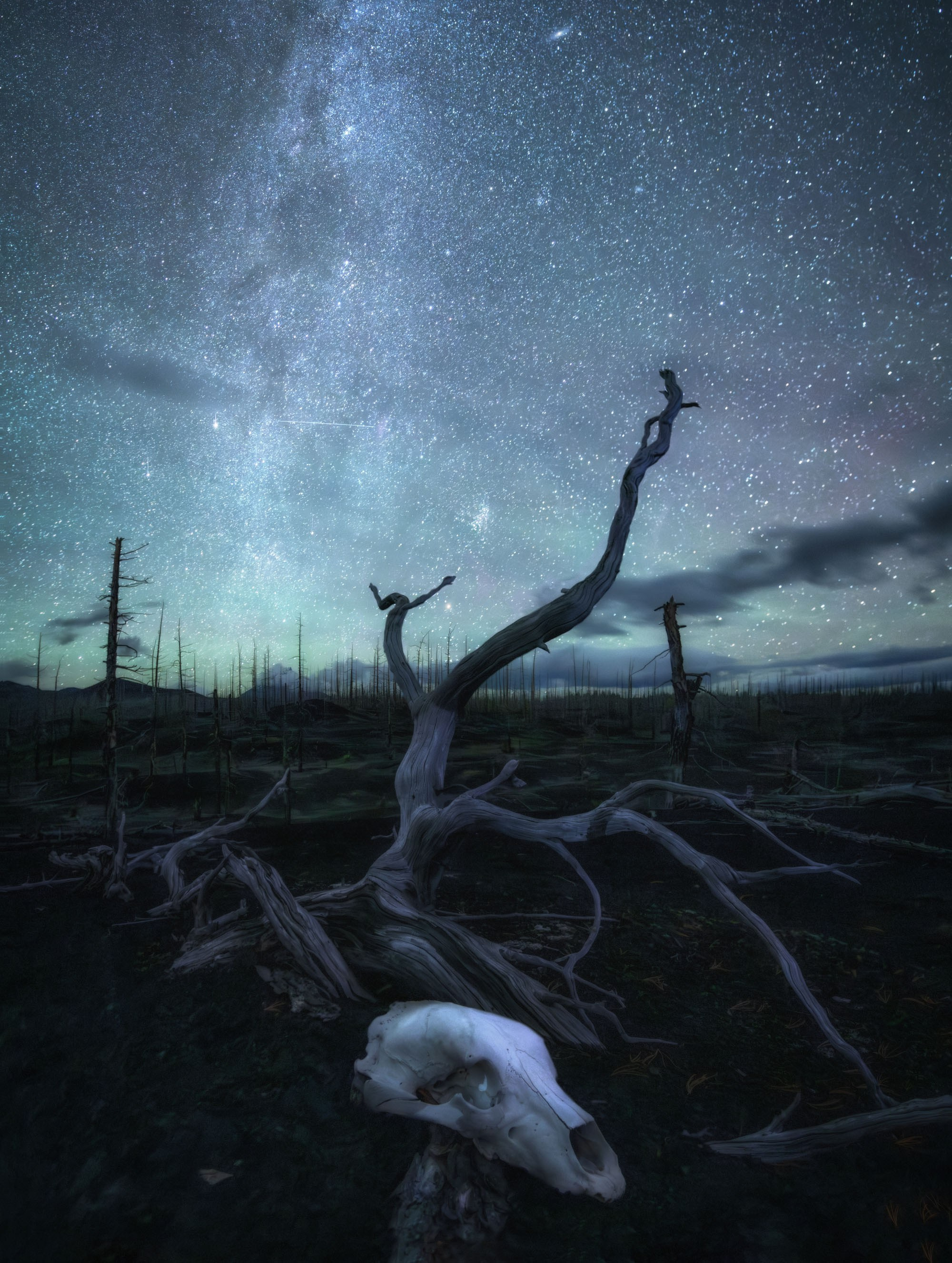 Фотографии Камчатка