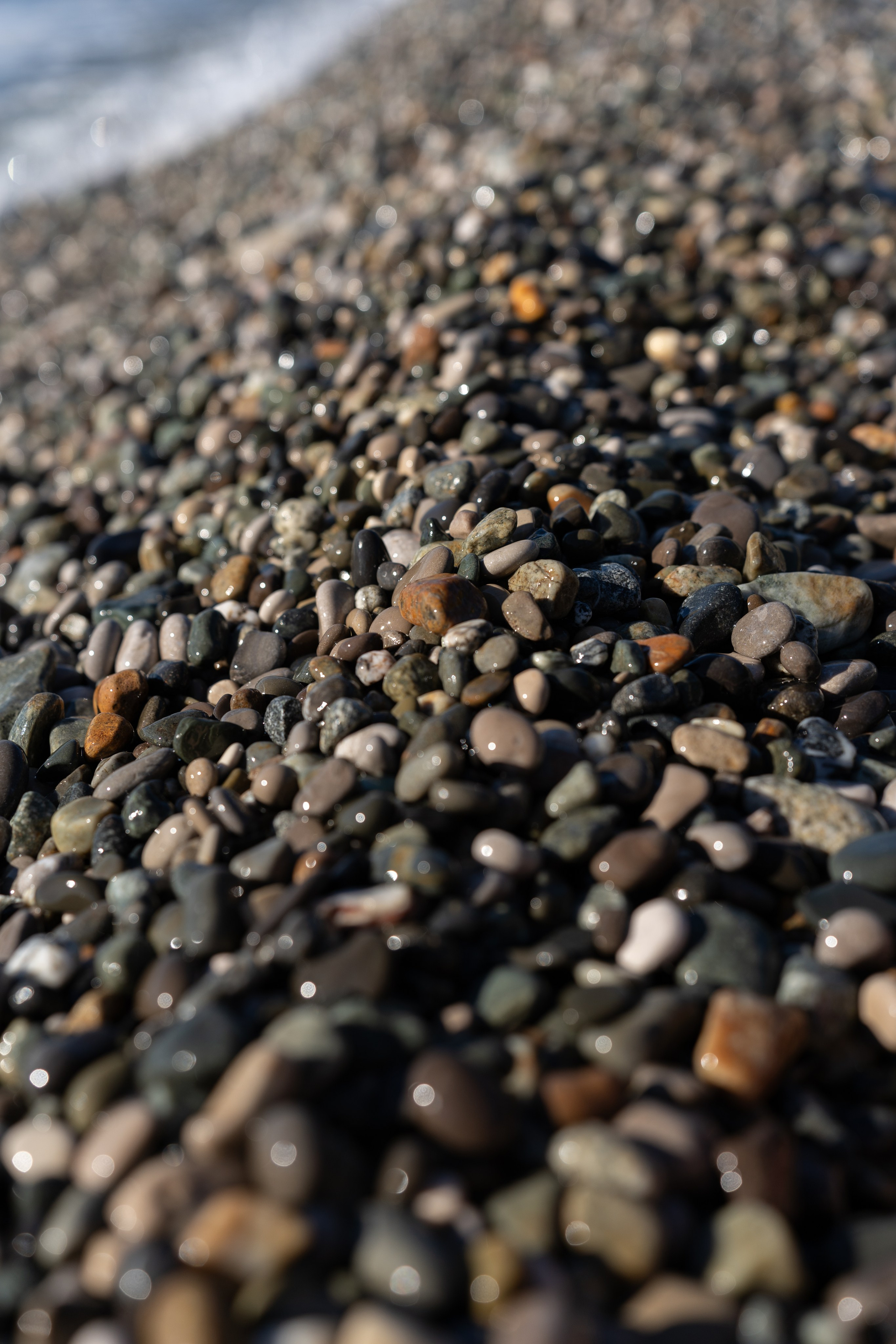 Фотографии из поездки в Абхазию. Предметный фотограф Санкт-Петербург