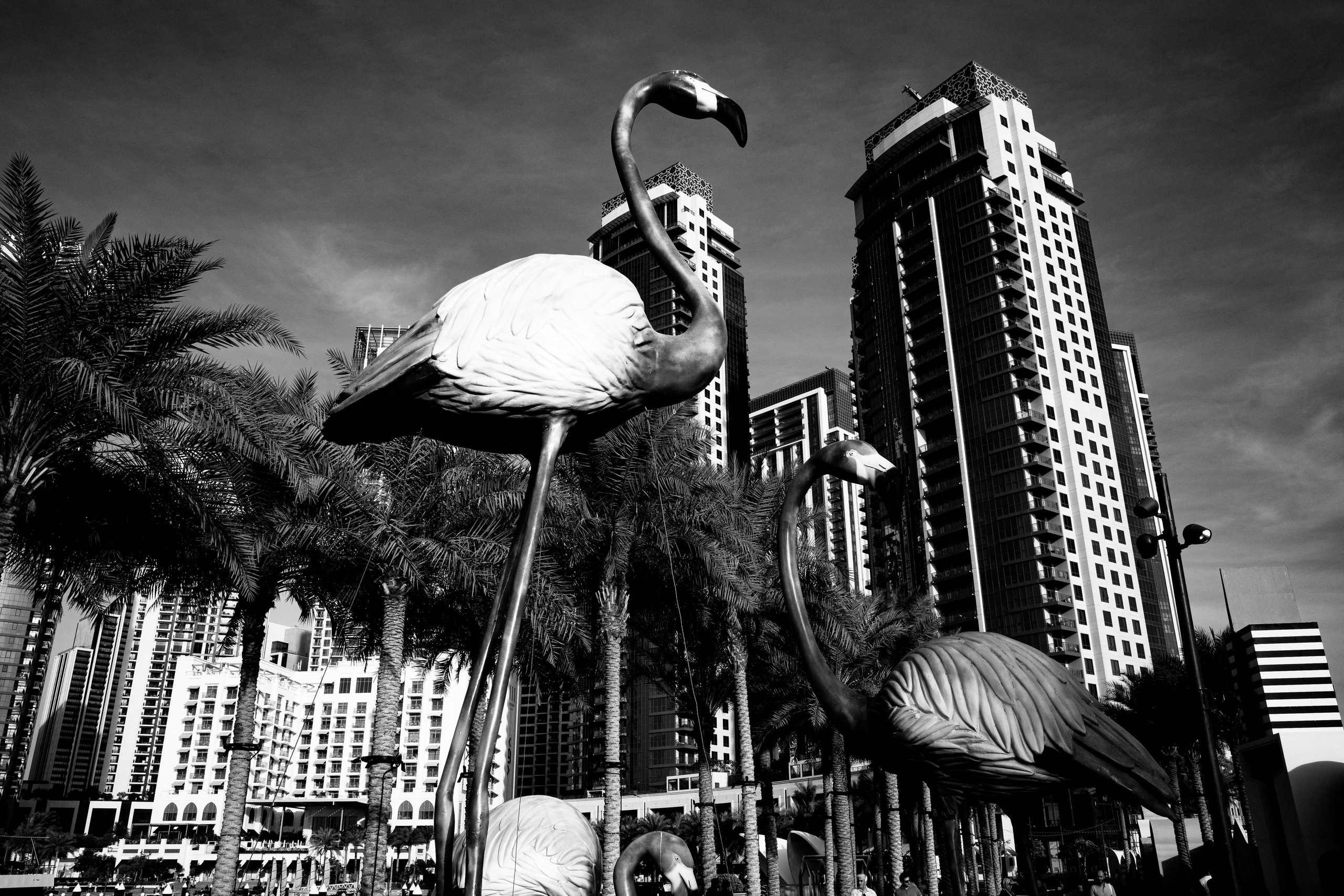 Композиция из фламинго в Дубае