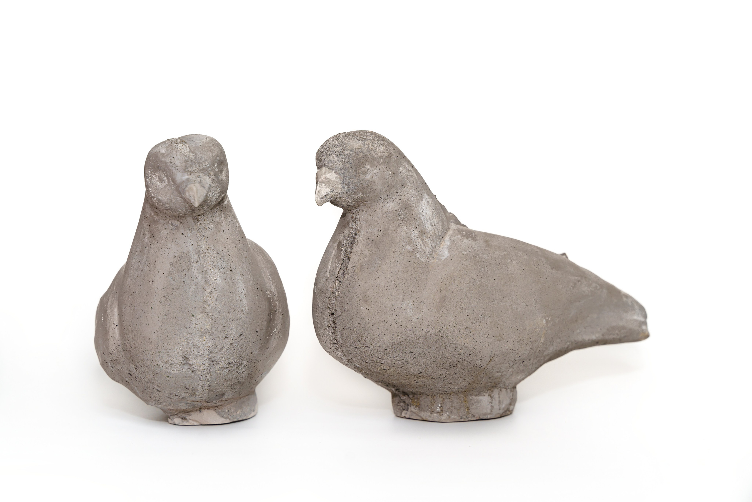 Искусство. Твой фотограф Алина Кочергина