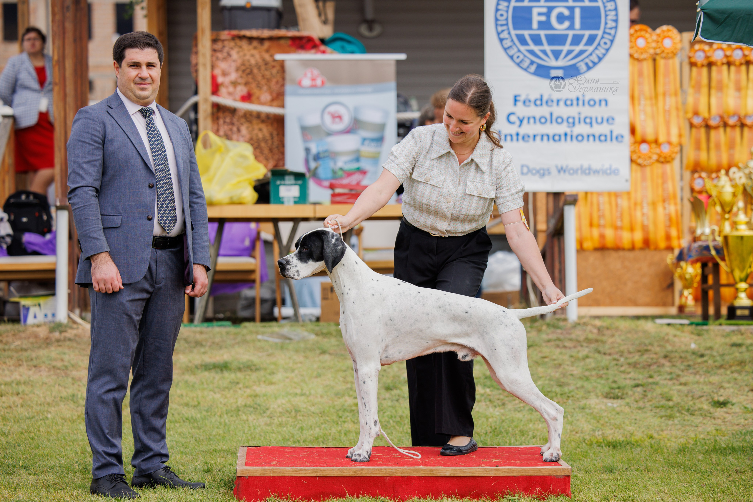 Армения,Ереван 3хCACIB 15-17.10.2024. Фотограф-анималист Юлия Германика