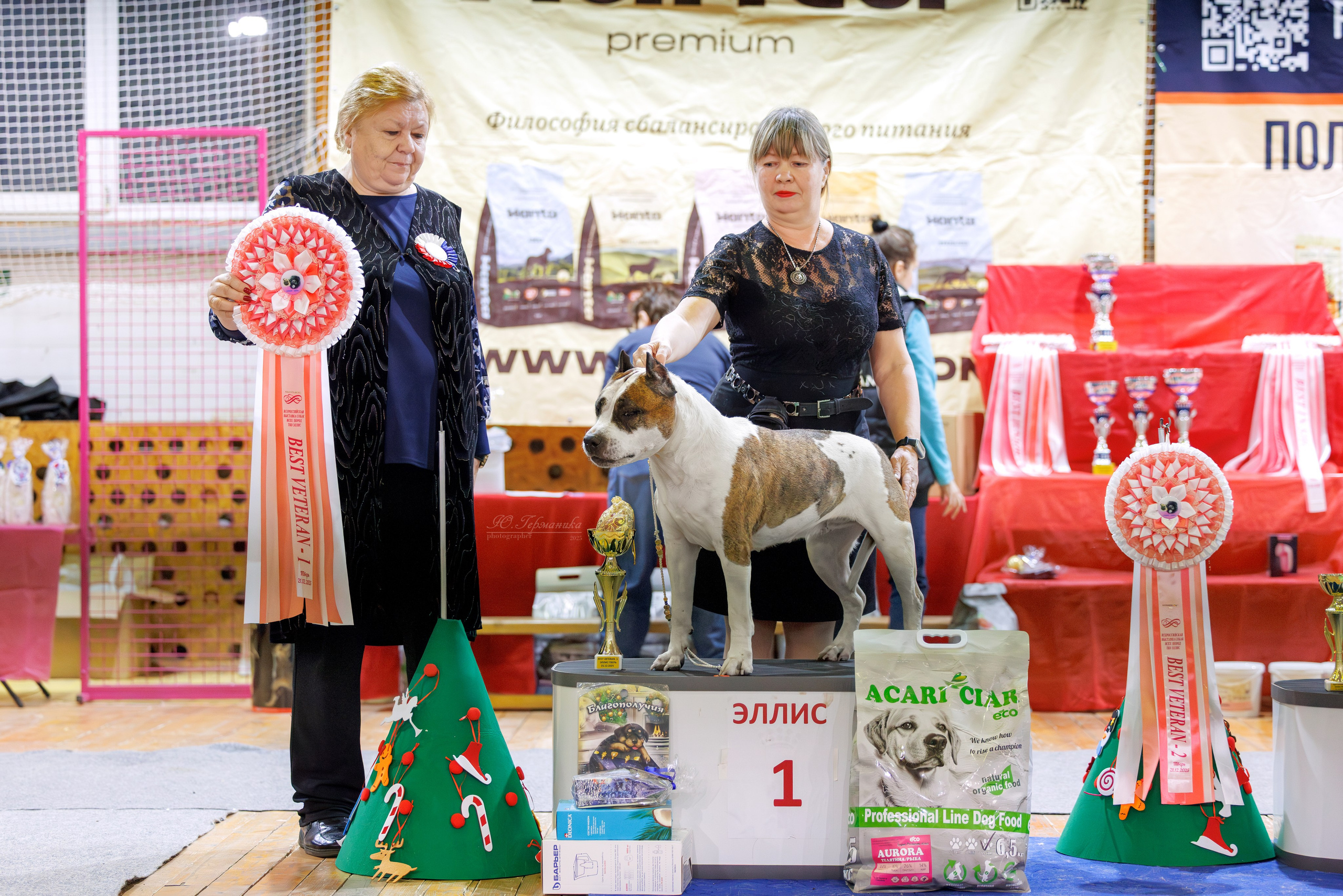 Тверь 21.12.2025. Фотограф-анималист Юлия Германика