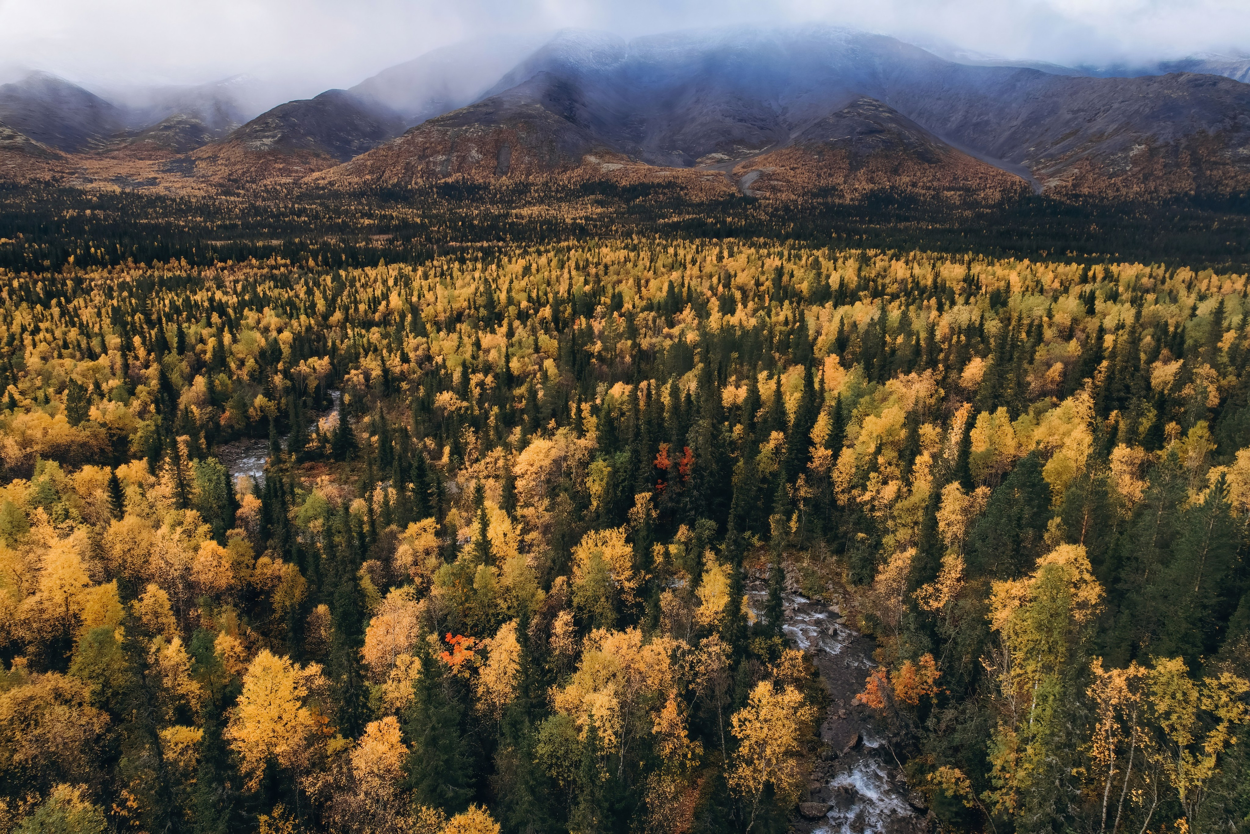 СЕВЕР. Event фотограф Степанова Александра