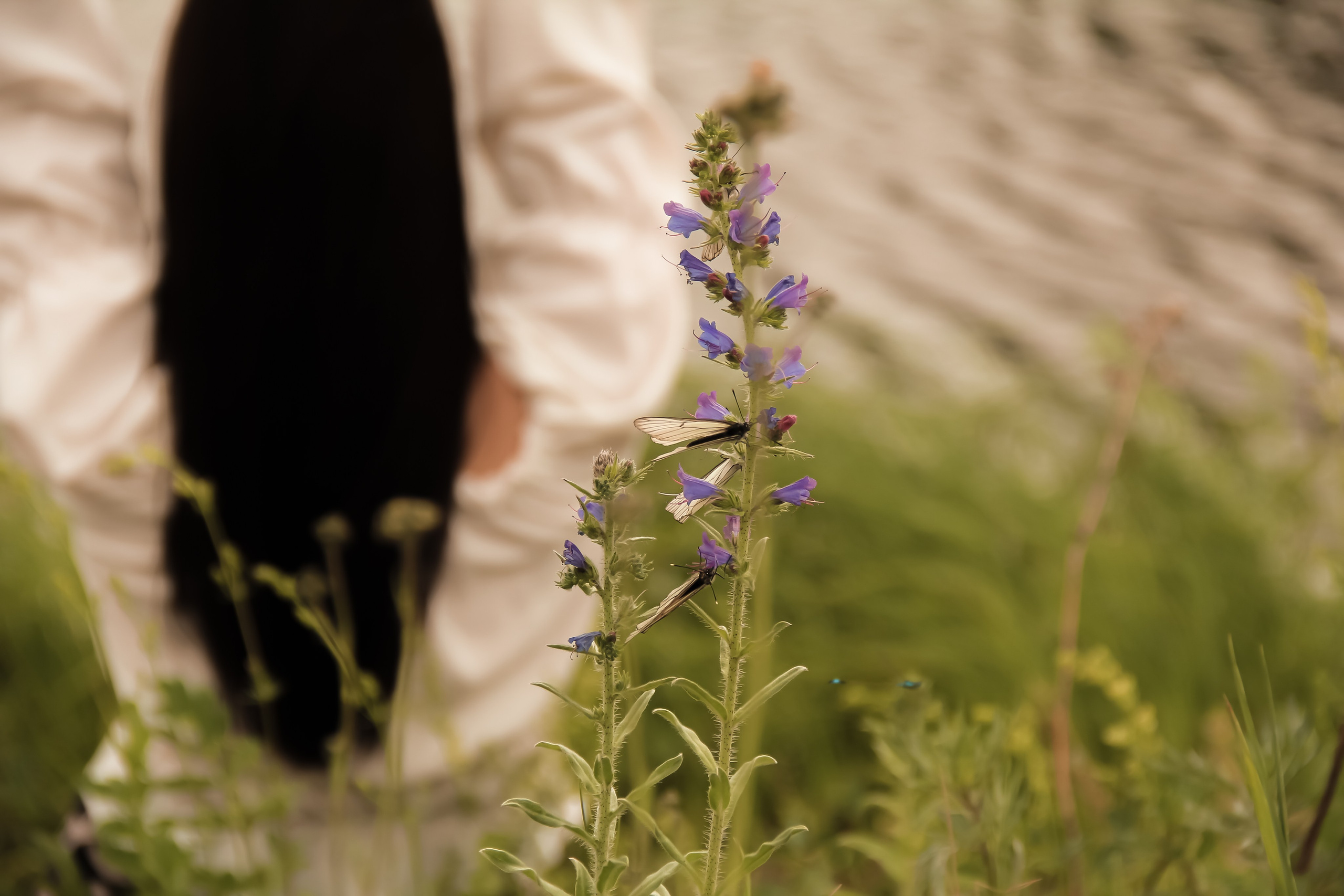 Таня. Семейный фотограф в р. п. Маслянино Саишева Мария