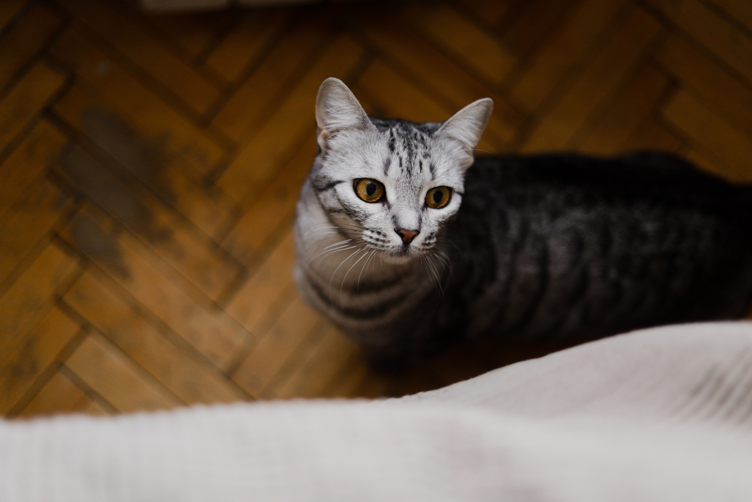 Никита, Лиза и крошка. Варвара Синицына: семейный фотограф в Москве