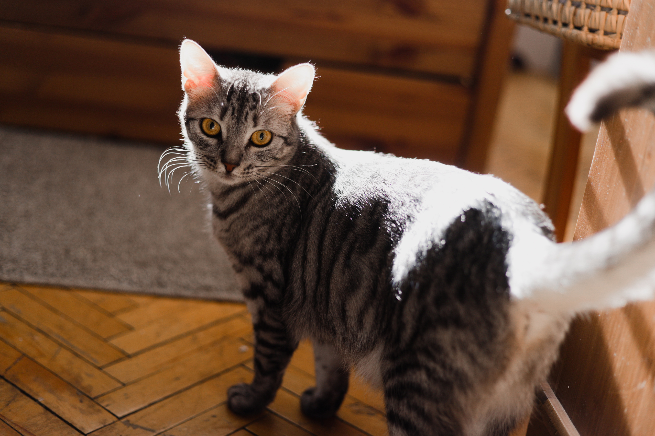 Никита, Лиза и крошка. Варвара Синицына: семейный фотограф в Москве