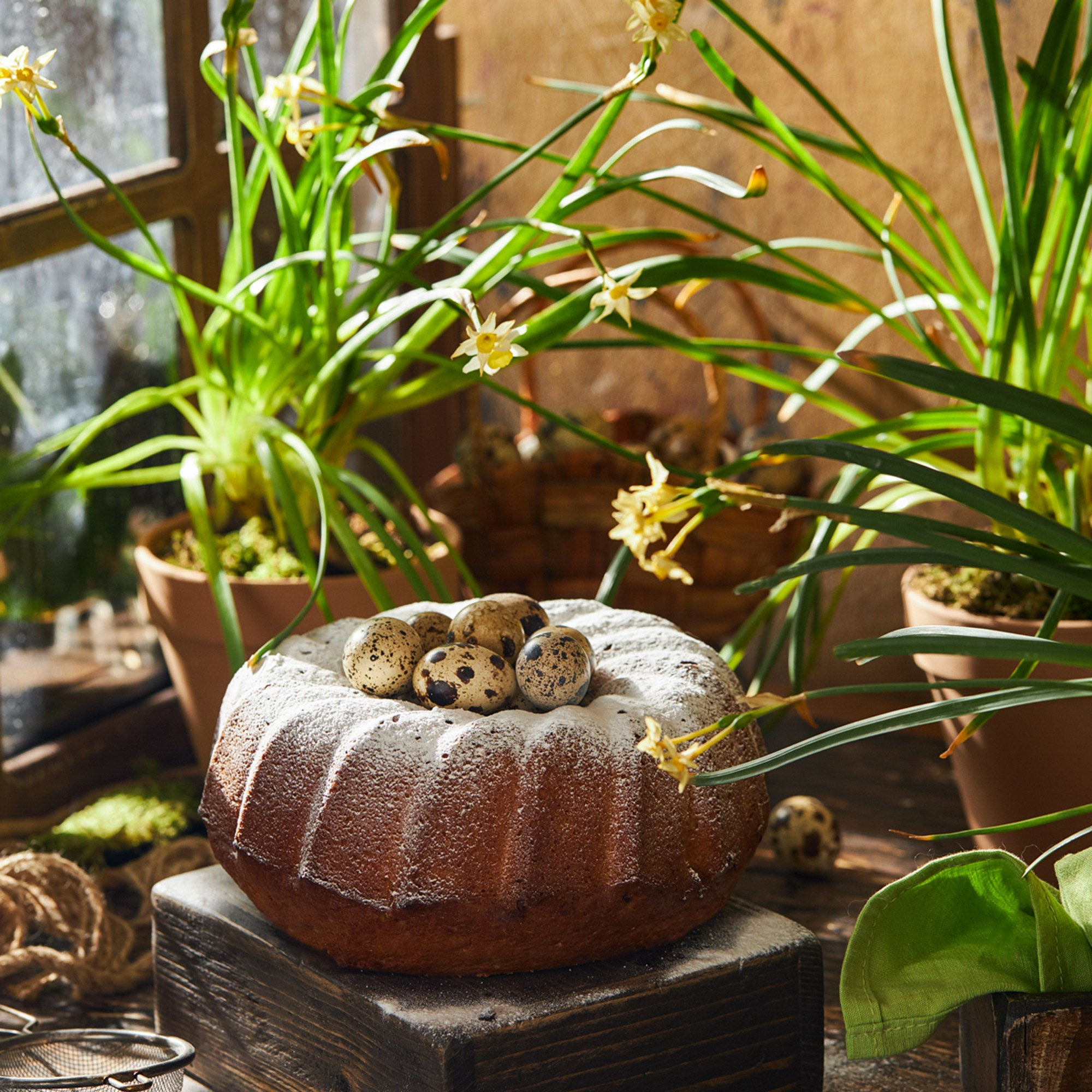 Разные десерты. Фуд и предметный фотограф Гришина Ольга