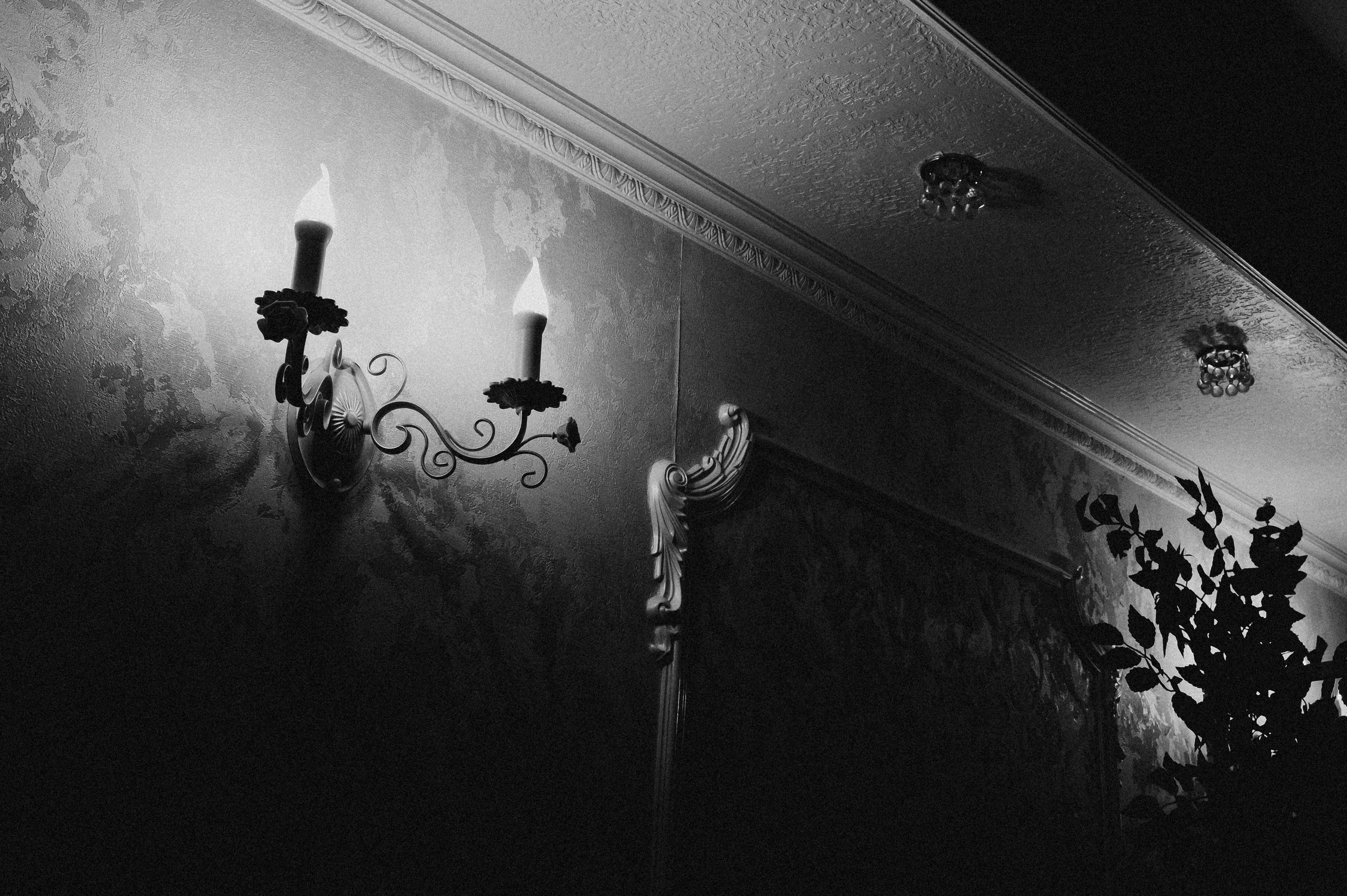 Банкеты. Фотограф Тверь