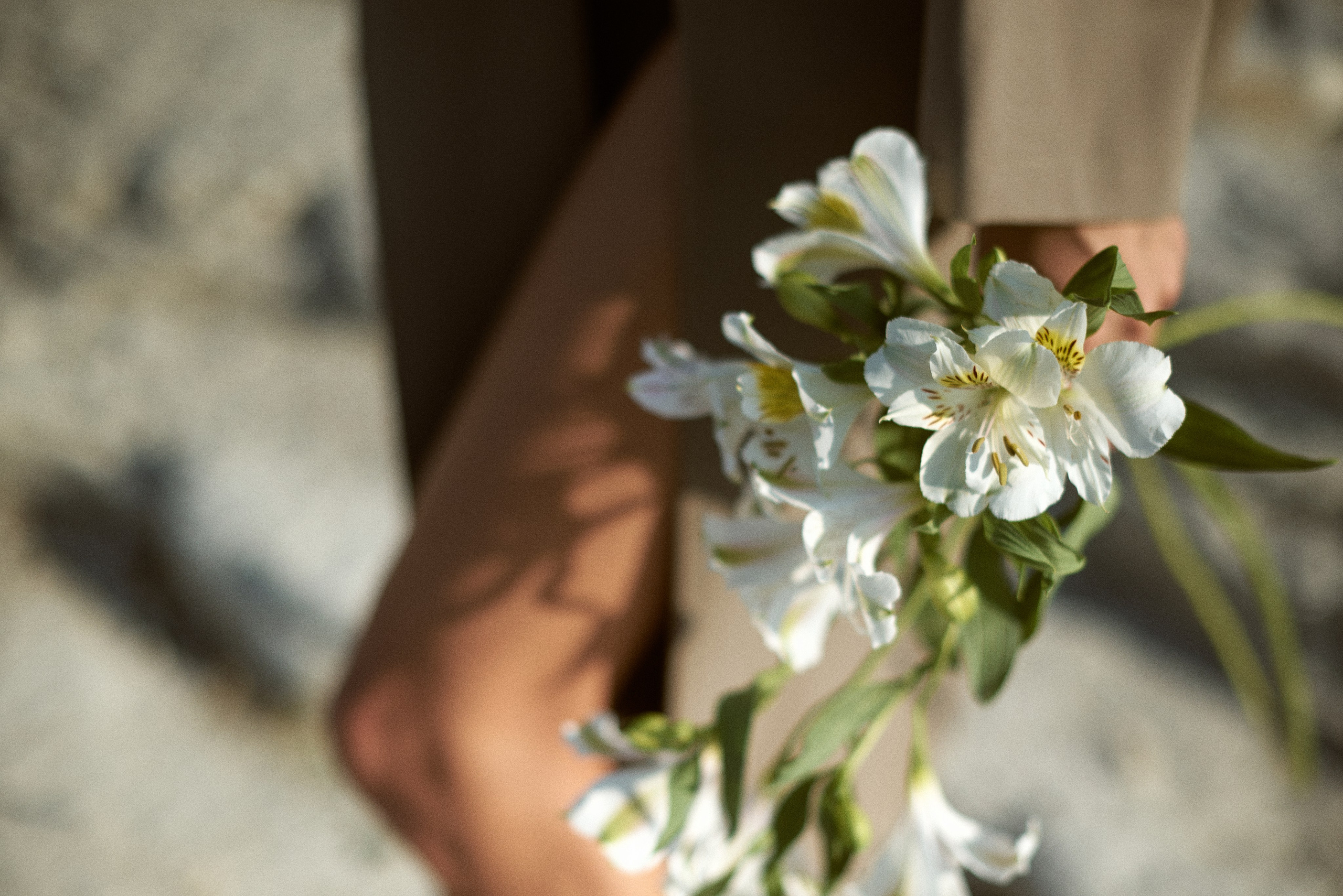 Вика. Фотограф Егорьевск Коломна Воскресенск