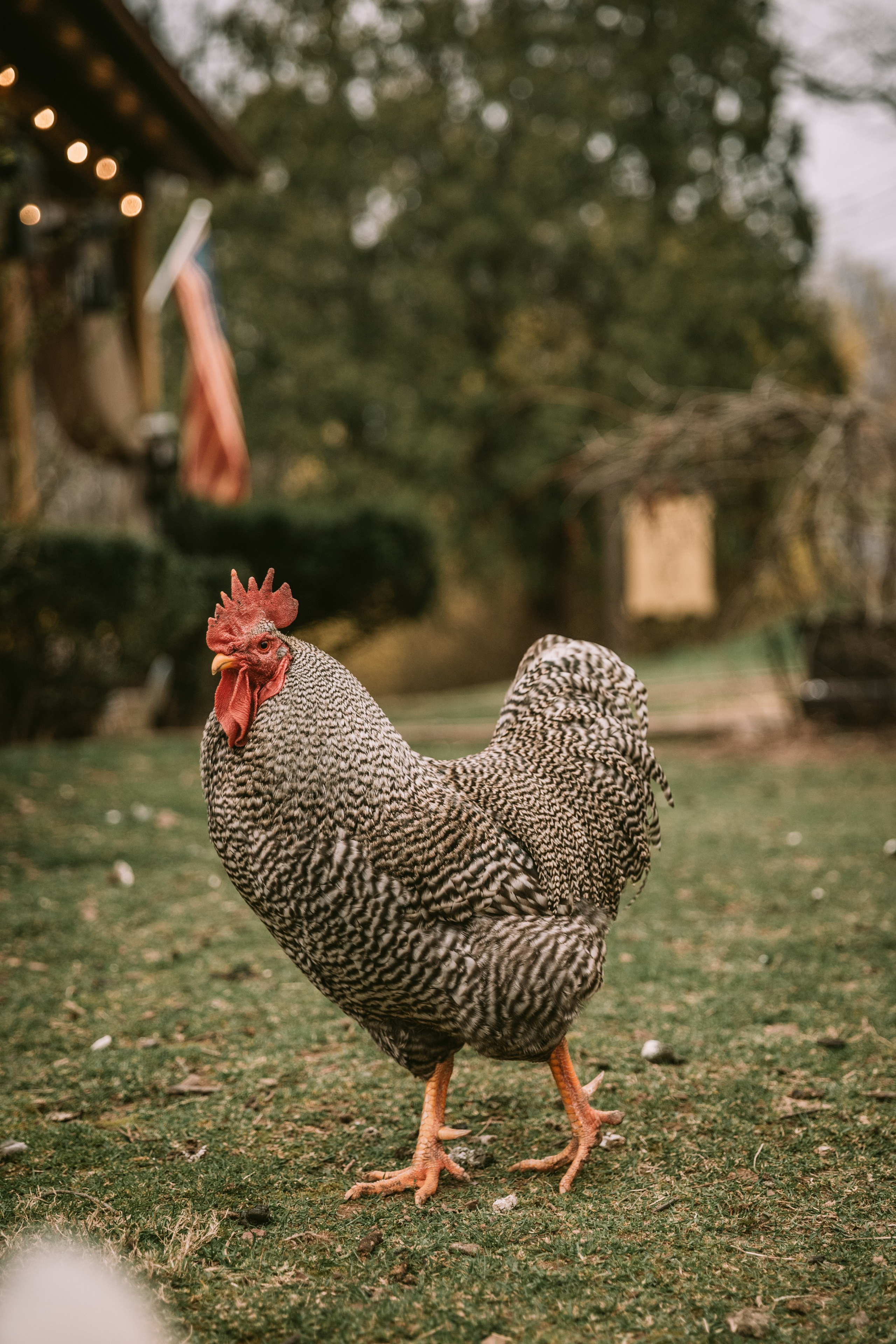 Session at the client’s home. Family photographer in Eastern Pennsylvania, Inna Nairn