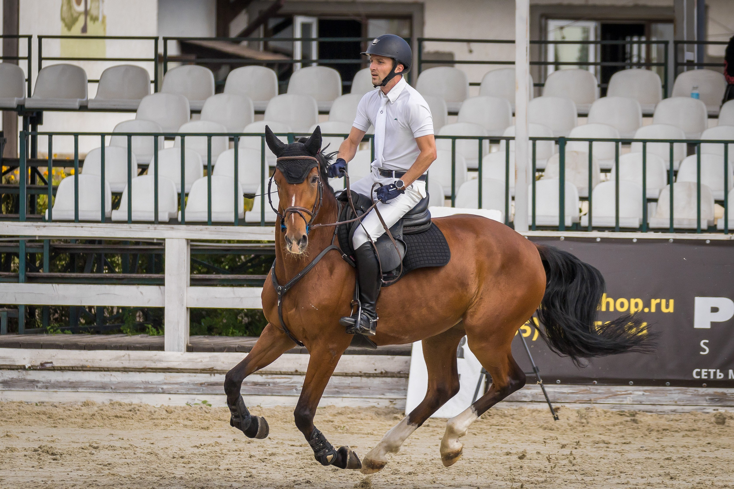 Конный спорт. Photomantis