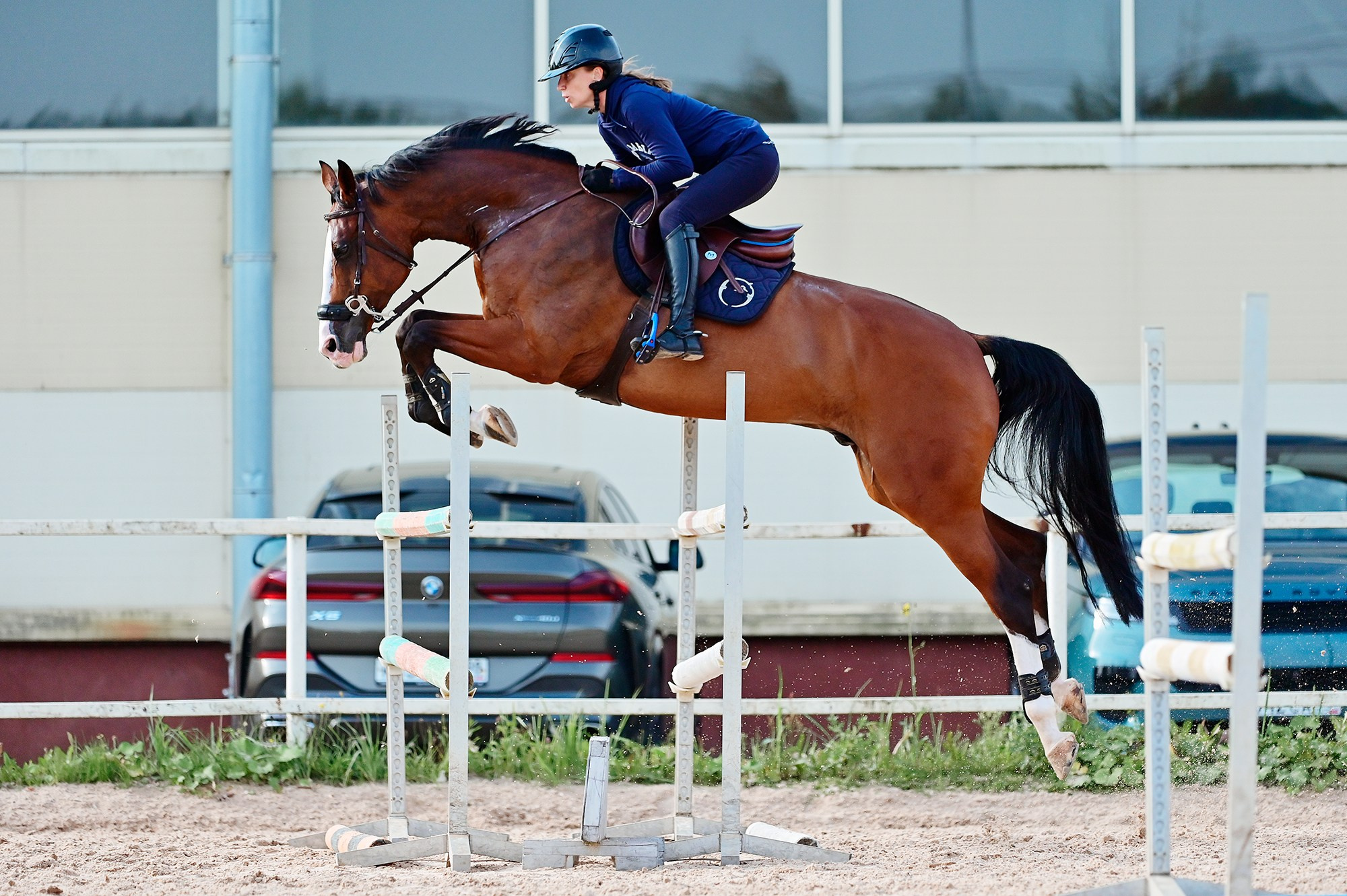 Тренировки. Конный фотограф Alesya Safe