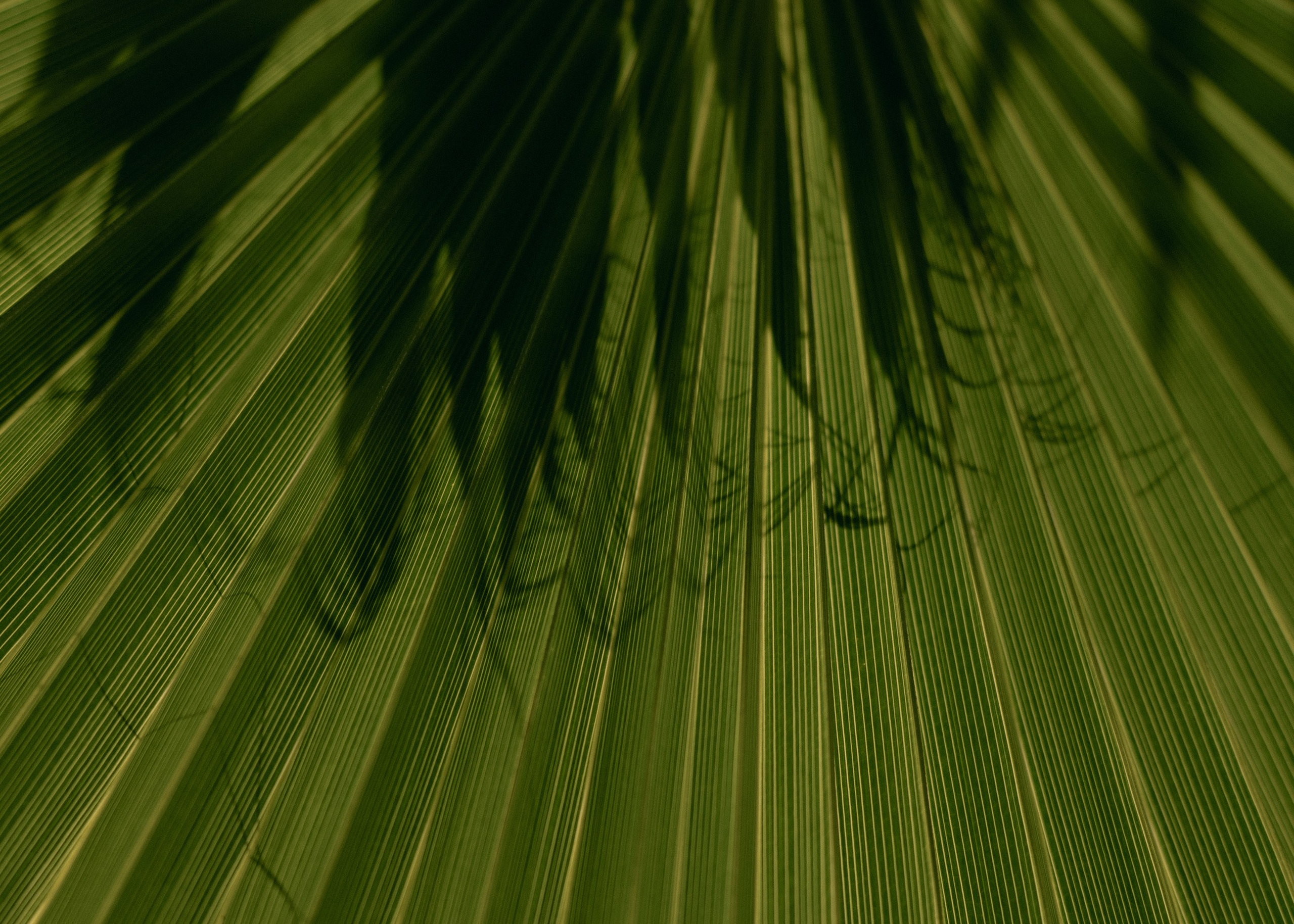 American-Russian Wedding. Wedding & Documentary Photographer based in Nuremberg — available across Europe & Turkey | Vitalii Nasonov