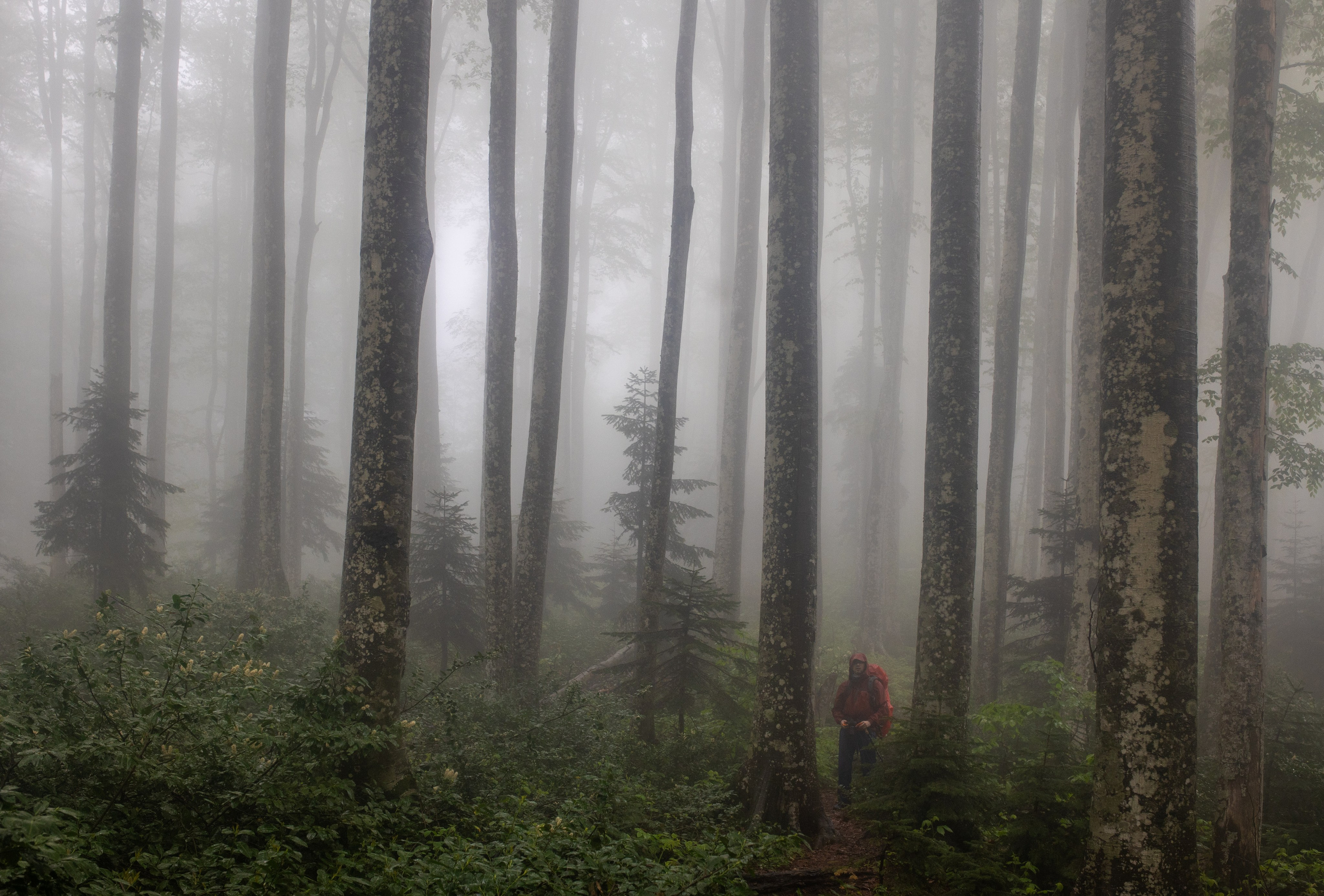 Грачев Венец. Тревел-фотограф Олег Гуров