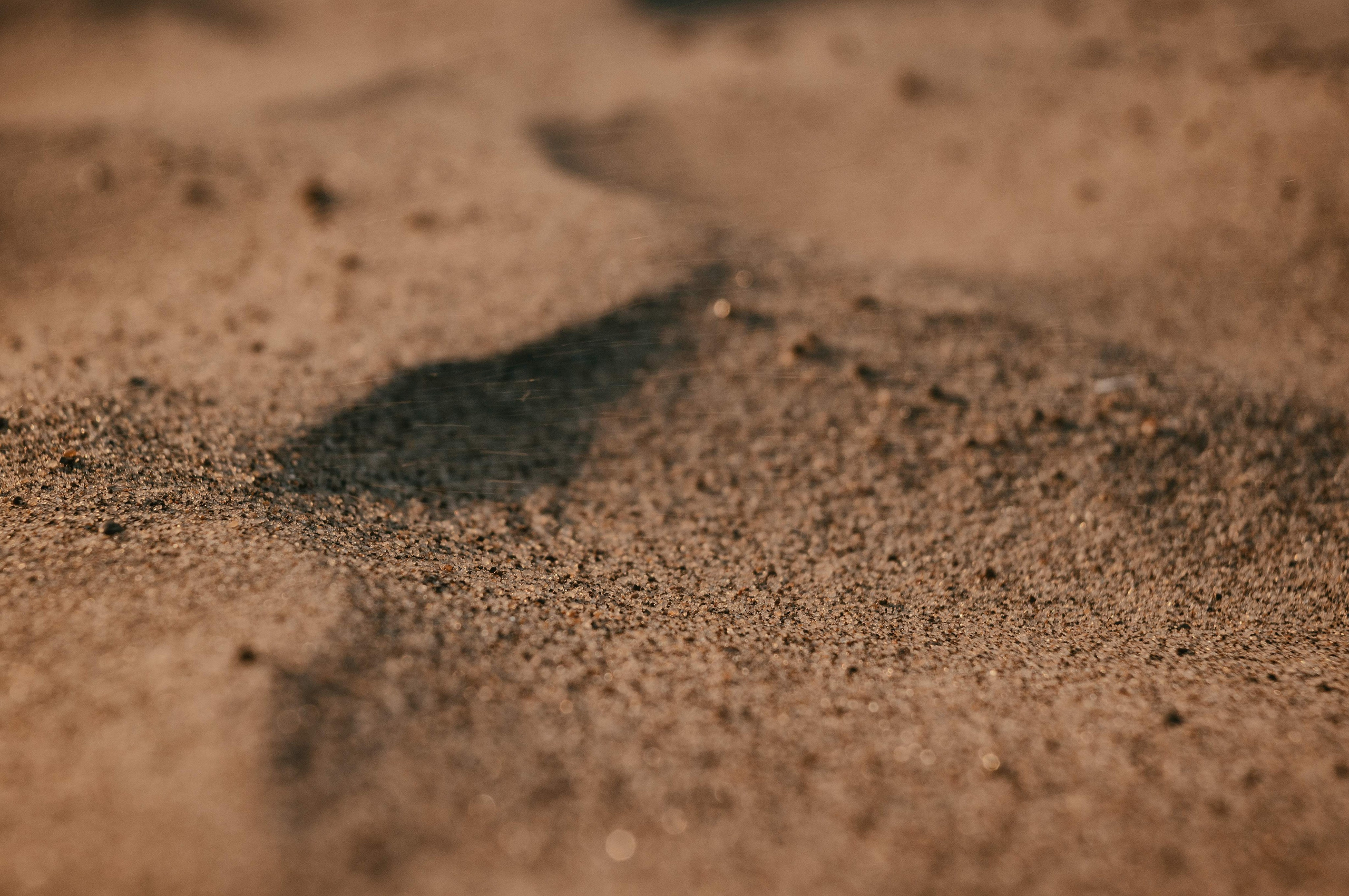 Фотограф Константин Ясинский