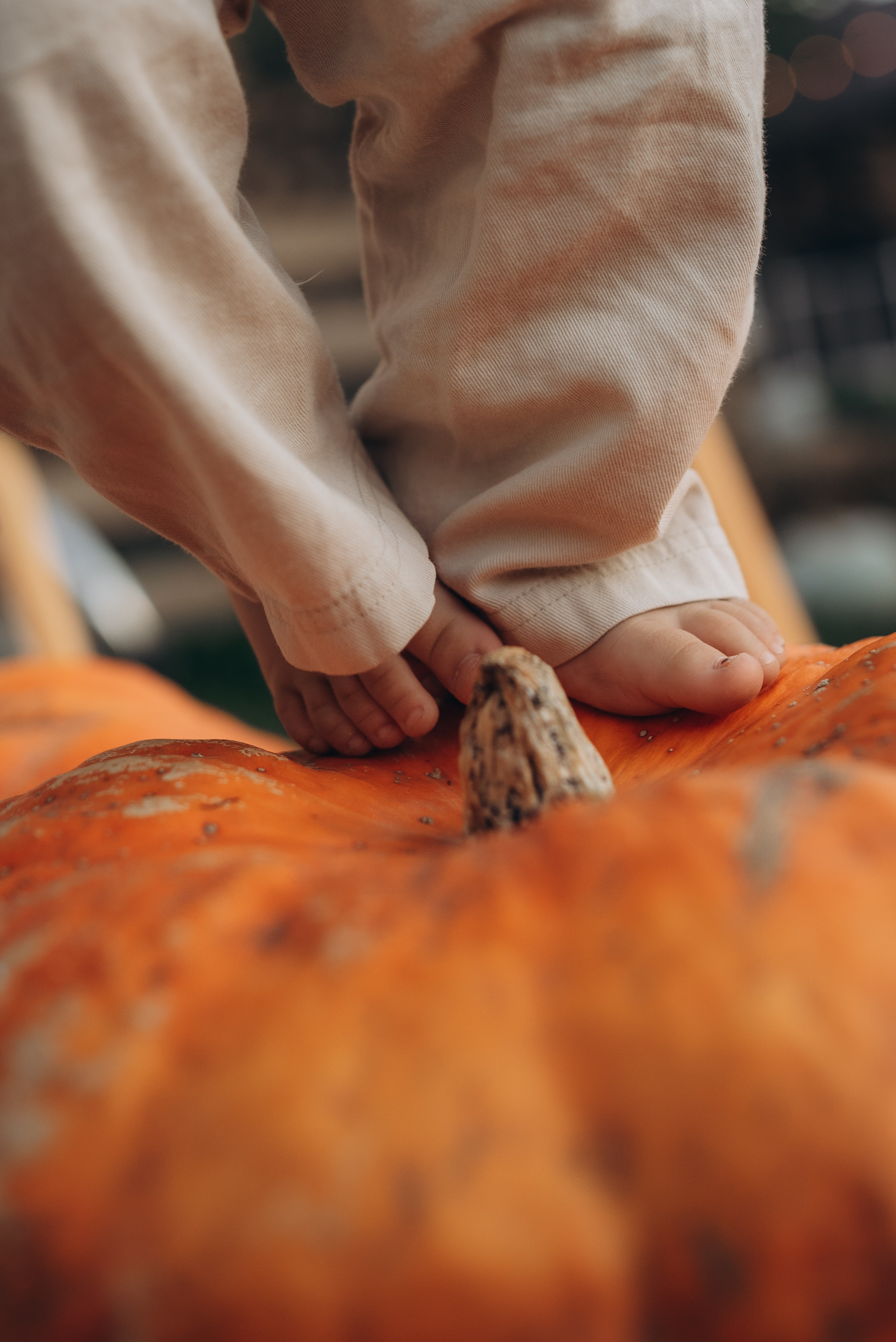 Детство. Семейная фотосессия в Новосибирске от фотографа Ольги Коваль