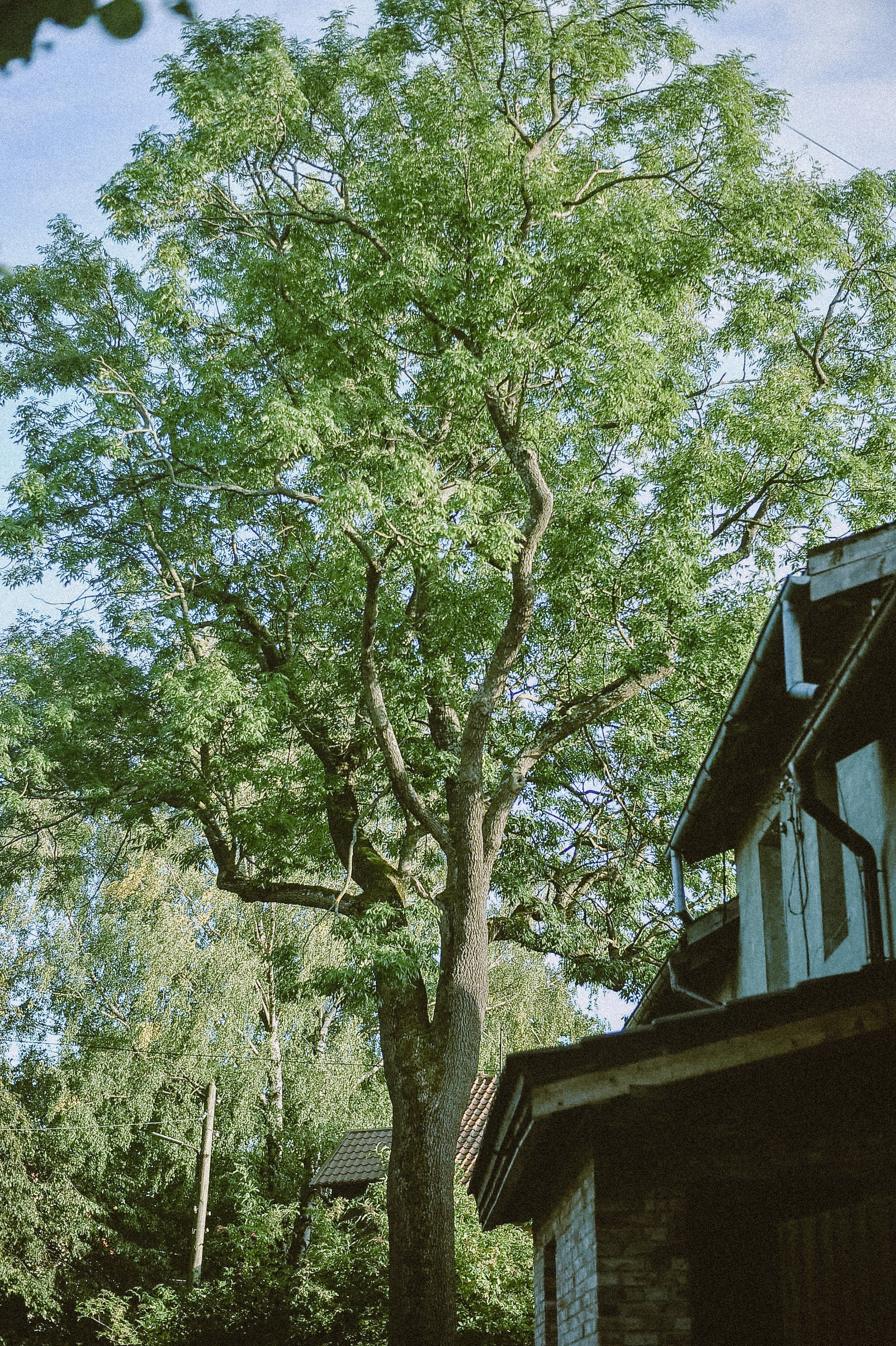 Прогулка. Элька Мурзина