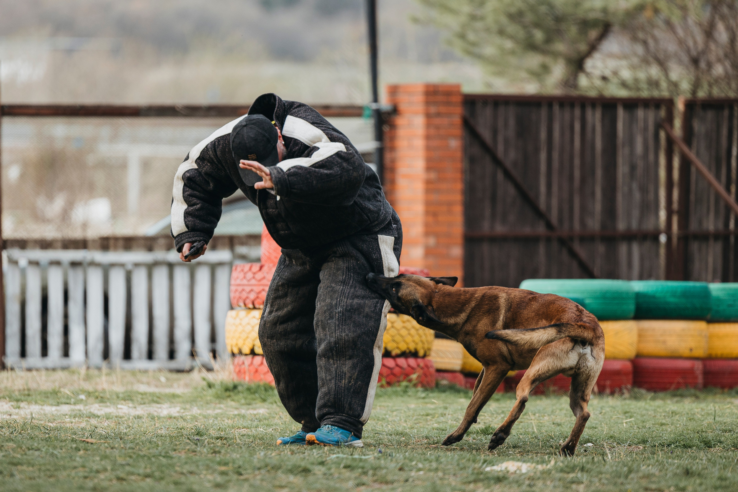 Геленджик Мондьоринг. Фотограф-анималист Анна Маринич