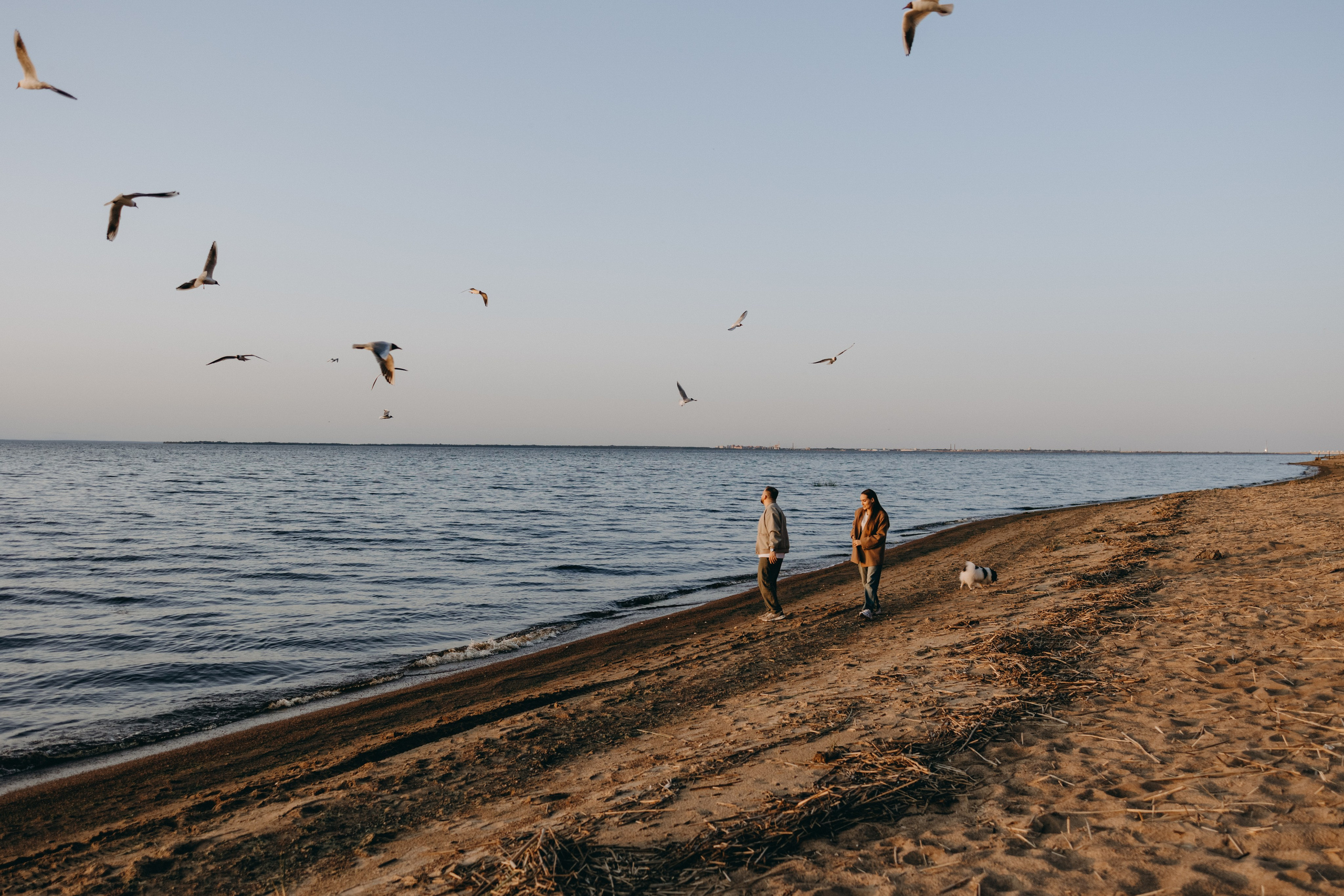 Диана и ее мальчики. Фотограф — Анималист | Санкт-Петербург