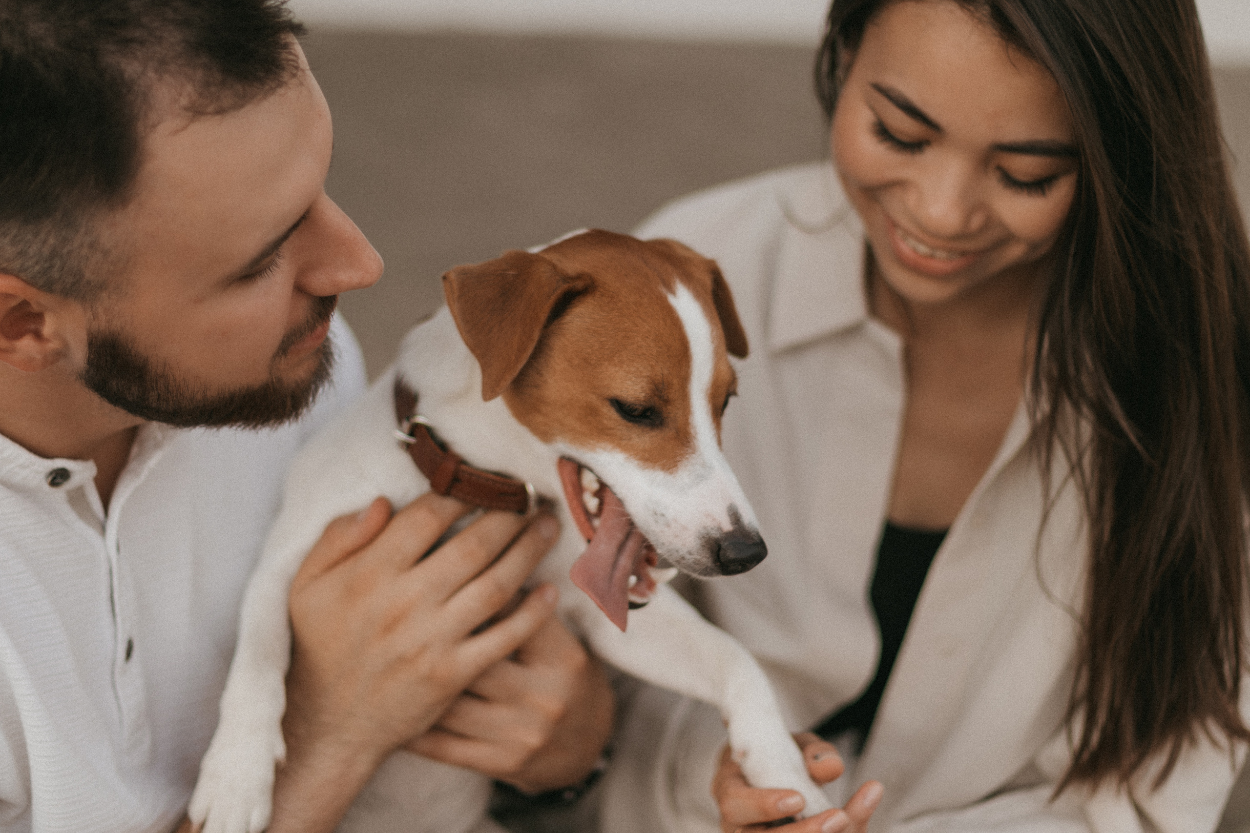Иван, Оля и Оскар. Свадебный и семейный фотограф в Курске и Курчатове Киреева Лена
