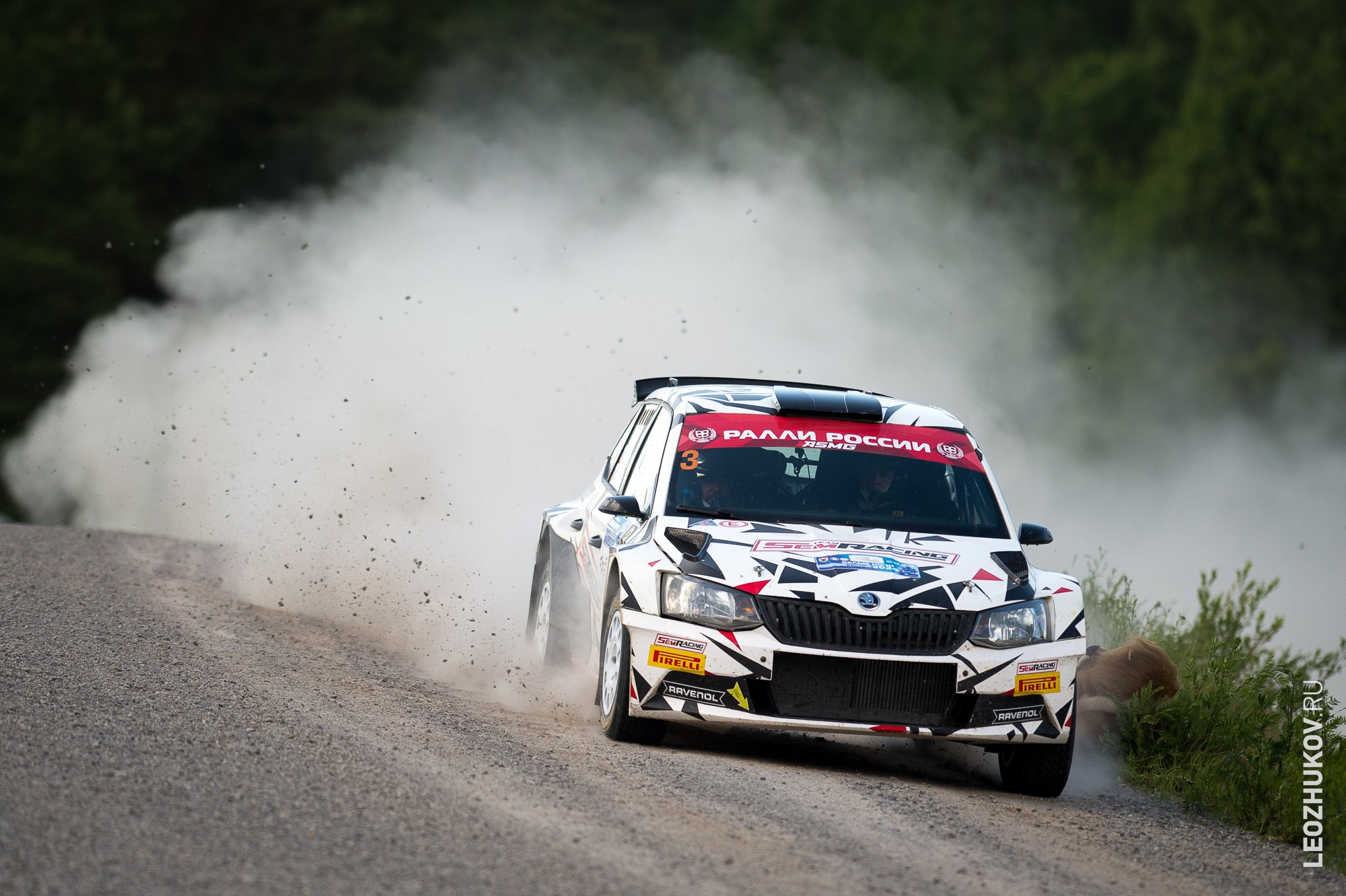 Ралли Белые ночи 2024. Спортивный фотограф Леонид Жуков