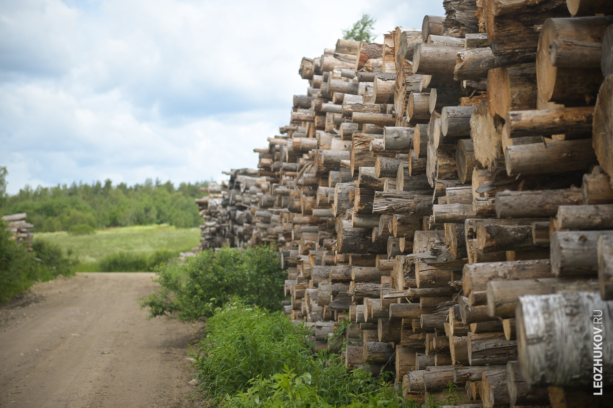 White nights rally 2025. Sports photographer Leonid Zhukov
