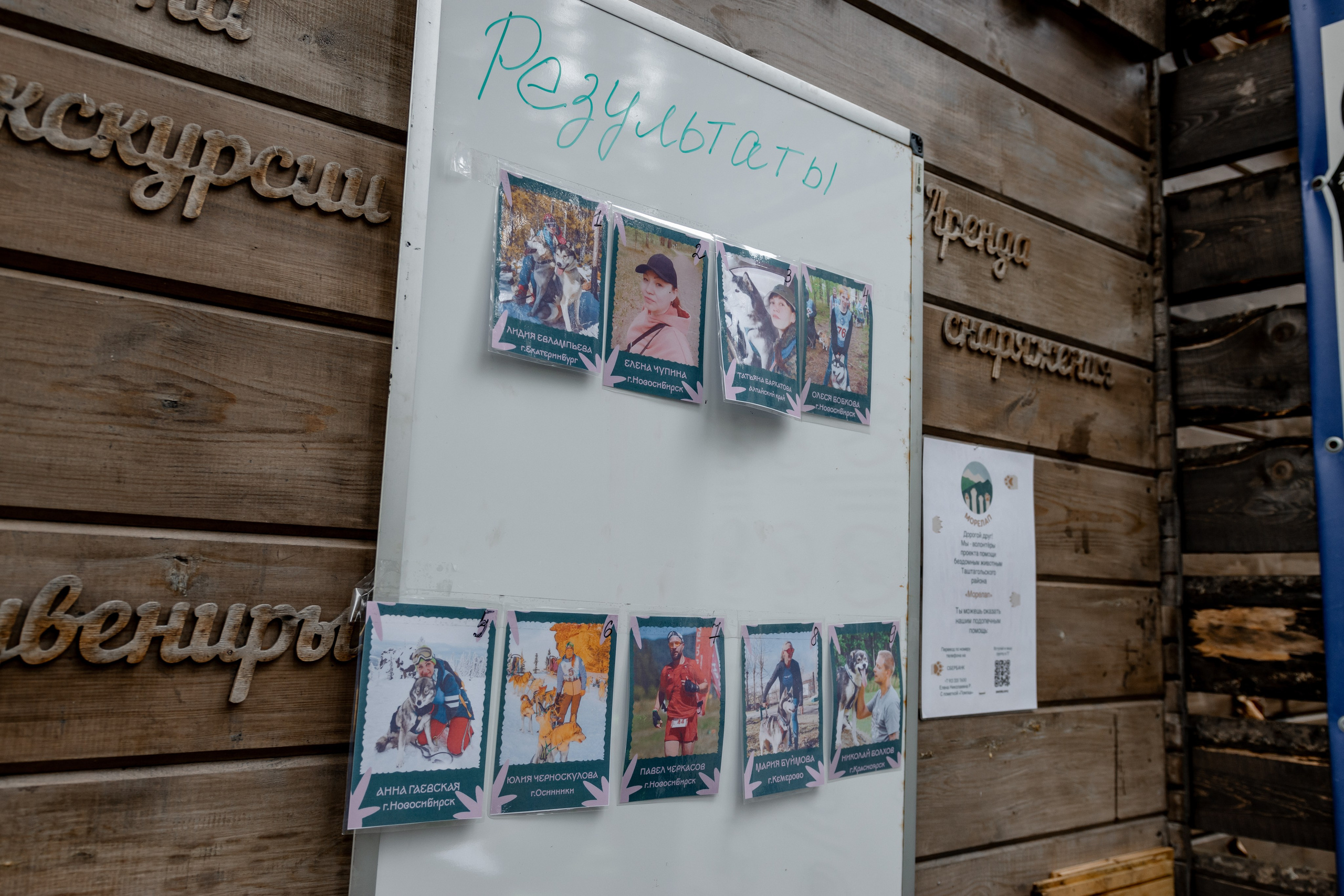 Дог-треккинг