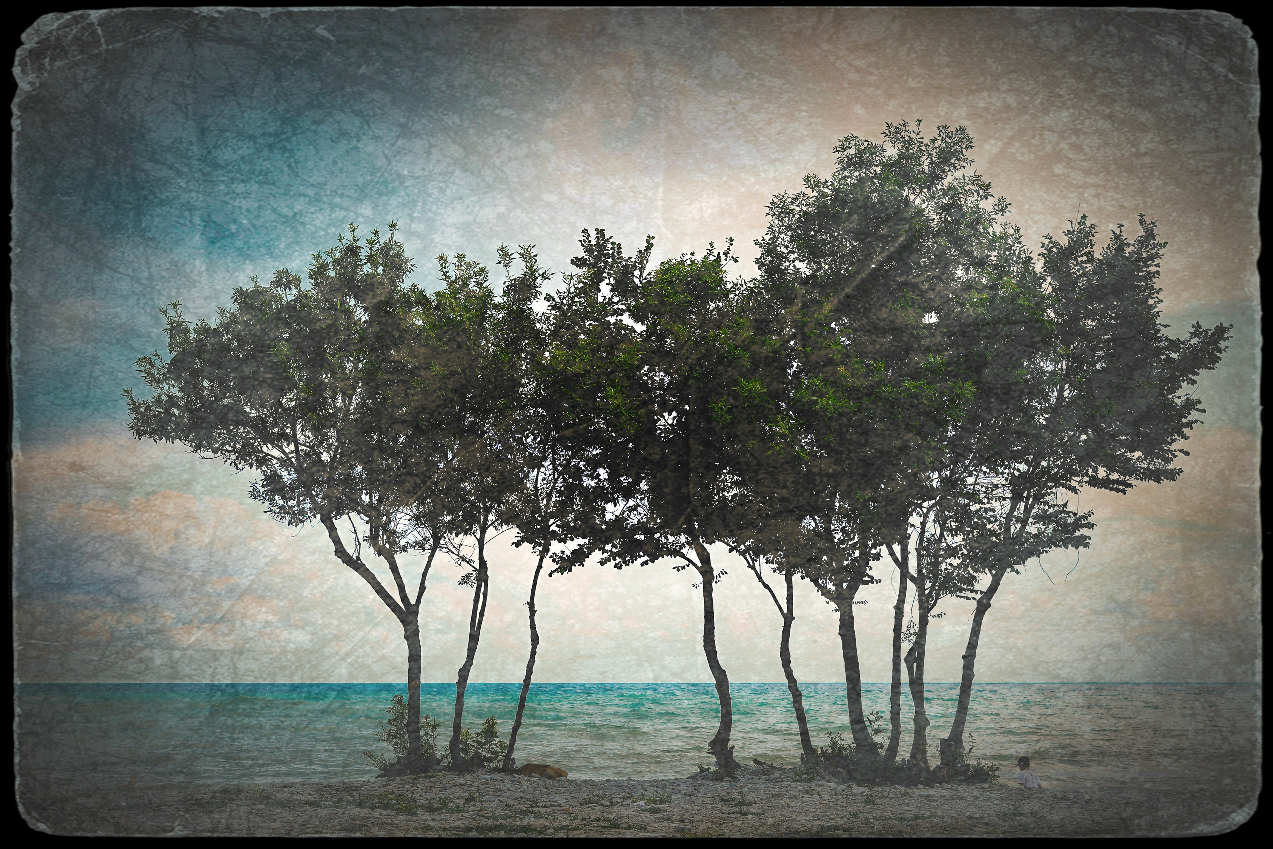 ПЕЙЗАЖИ. Профессиональный фотограф в Москве  Елена Фатьянова