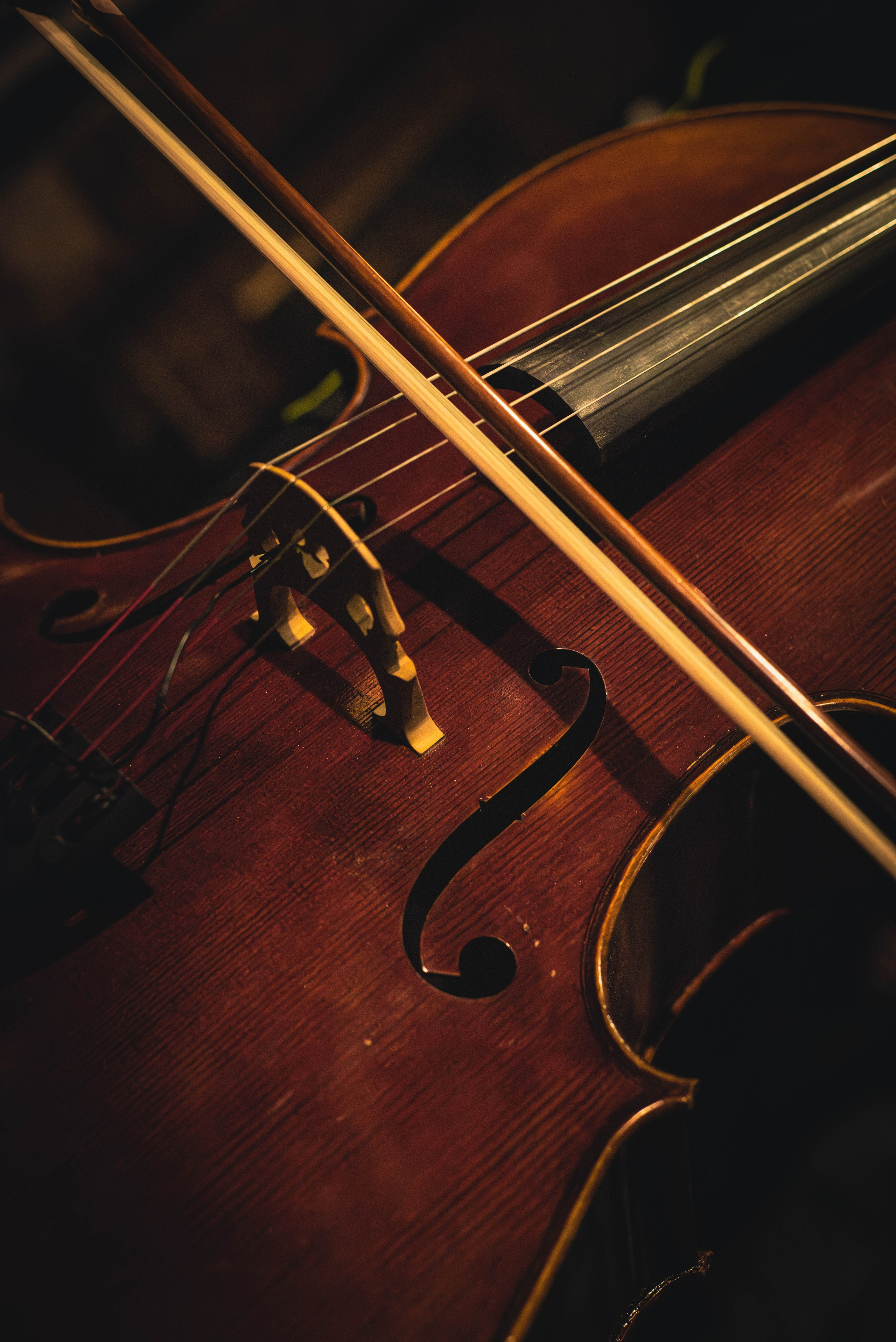 5ИМЁН (12 октября 2024 года, Егорьевск, бар Синий Банан). Фотограф Светлана Блинова, Москва и Московская область